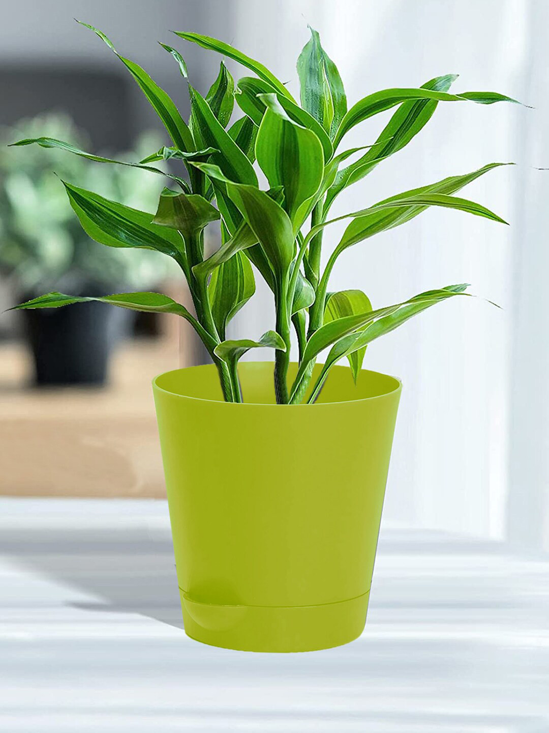 Kuber Industries Set of 6 Green Plastic Titan Pot Flower Pots