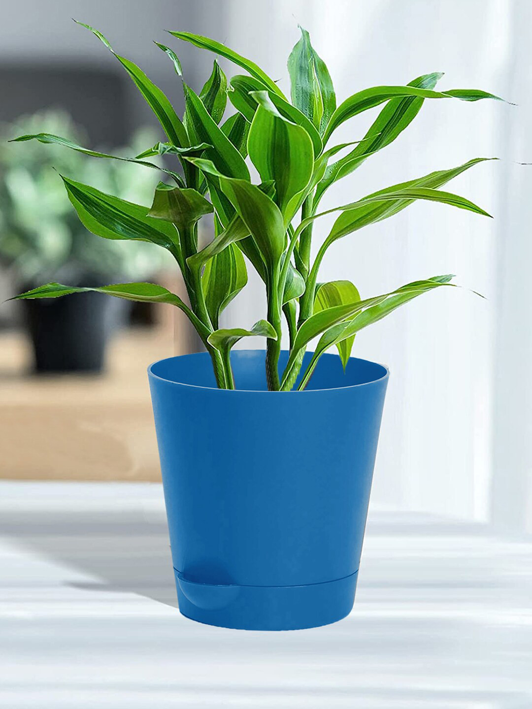 Kuber Industries Set of 4 Blue Self-Watering Planters With Drainage Holes