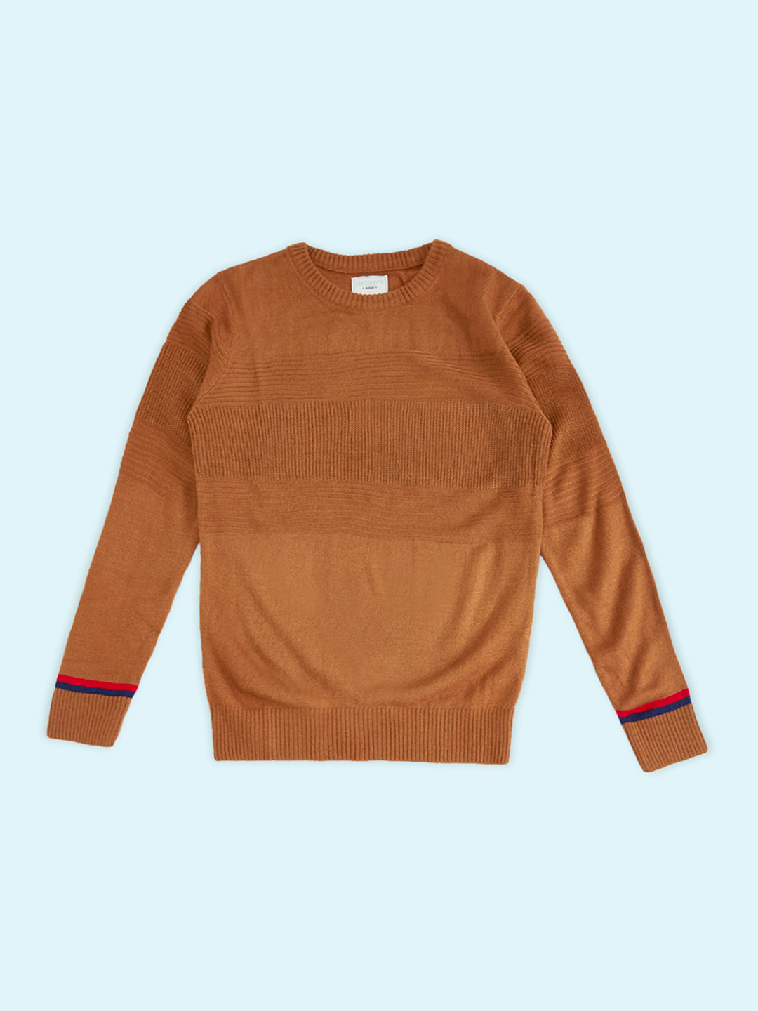 Pantaloons Junior Boys Rust & Blue Ribbed Pullover