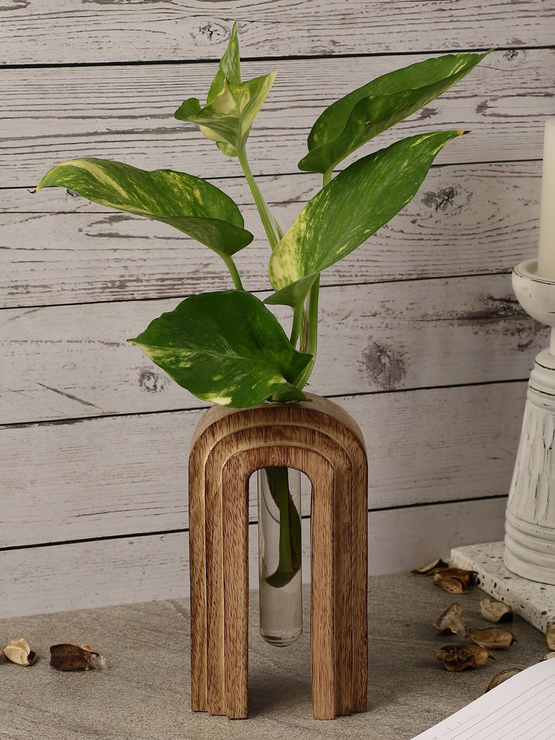 The Decor Mart Solid Testube Planter