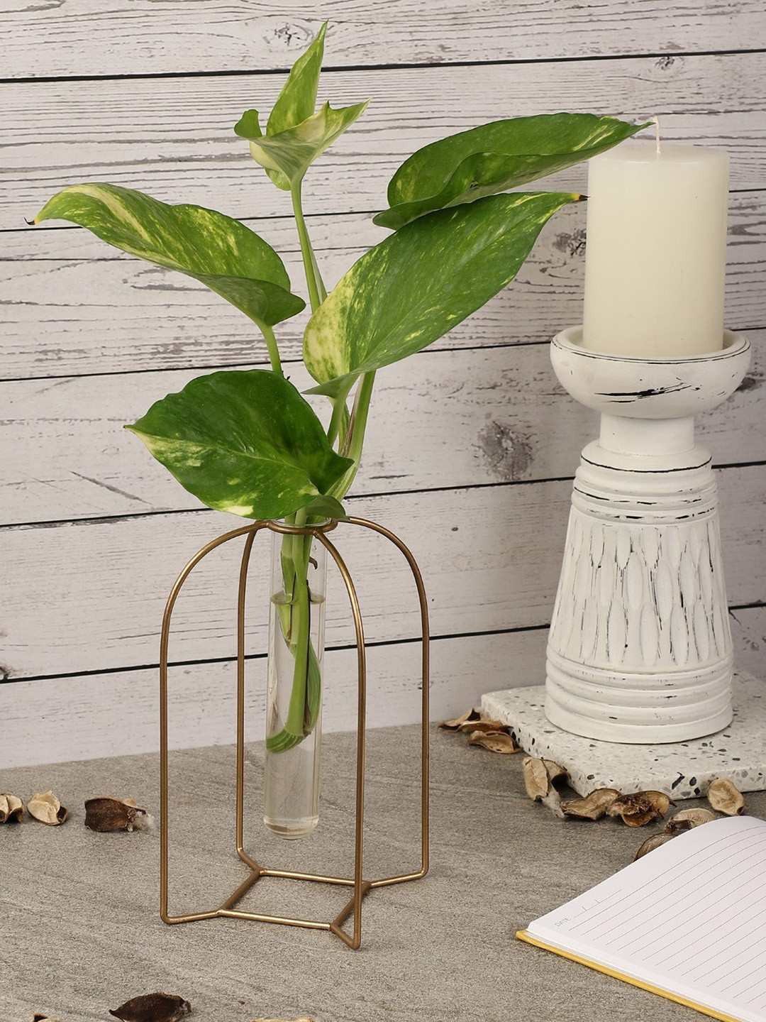 The Decor Mart Morocco Testube Planter