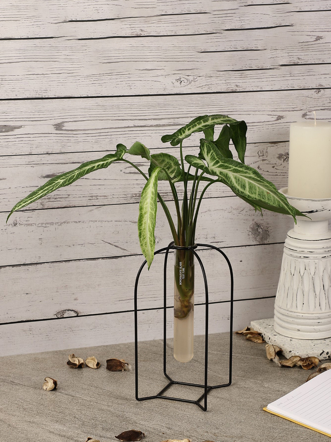 The Decor Mart Solid Morocco Testube Planter-Black