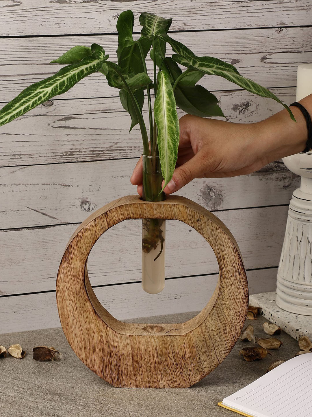 The Decor Mart Textured Wooden Testube Planter
