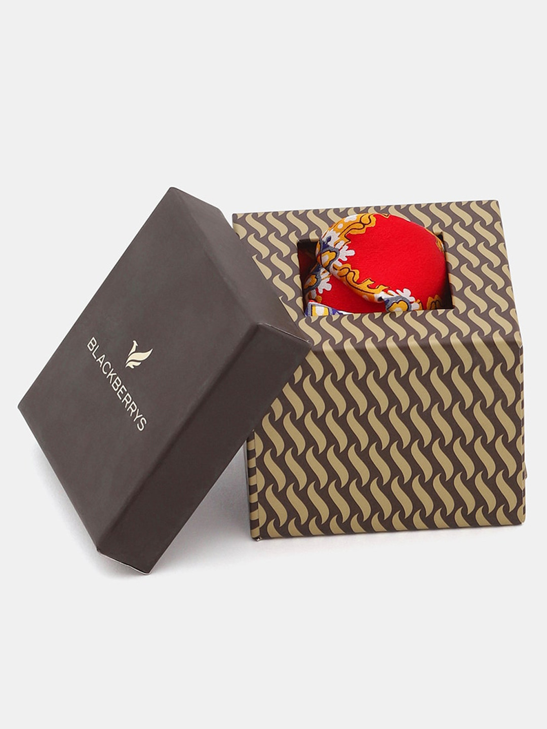 Blackberrys Men Printed Pocket Squares