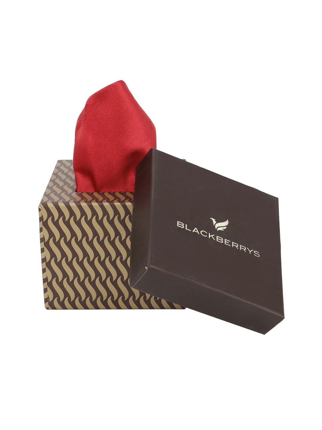 Blackberrys Men Printed  4 Ways Pocket Square