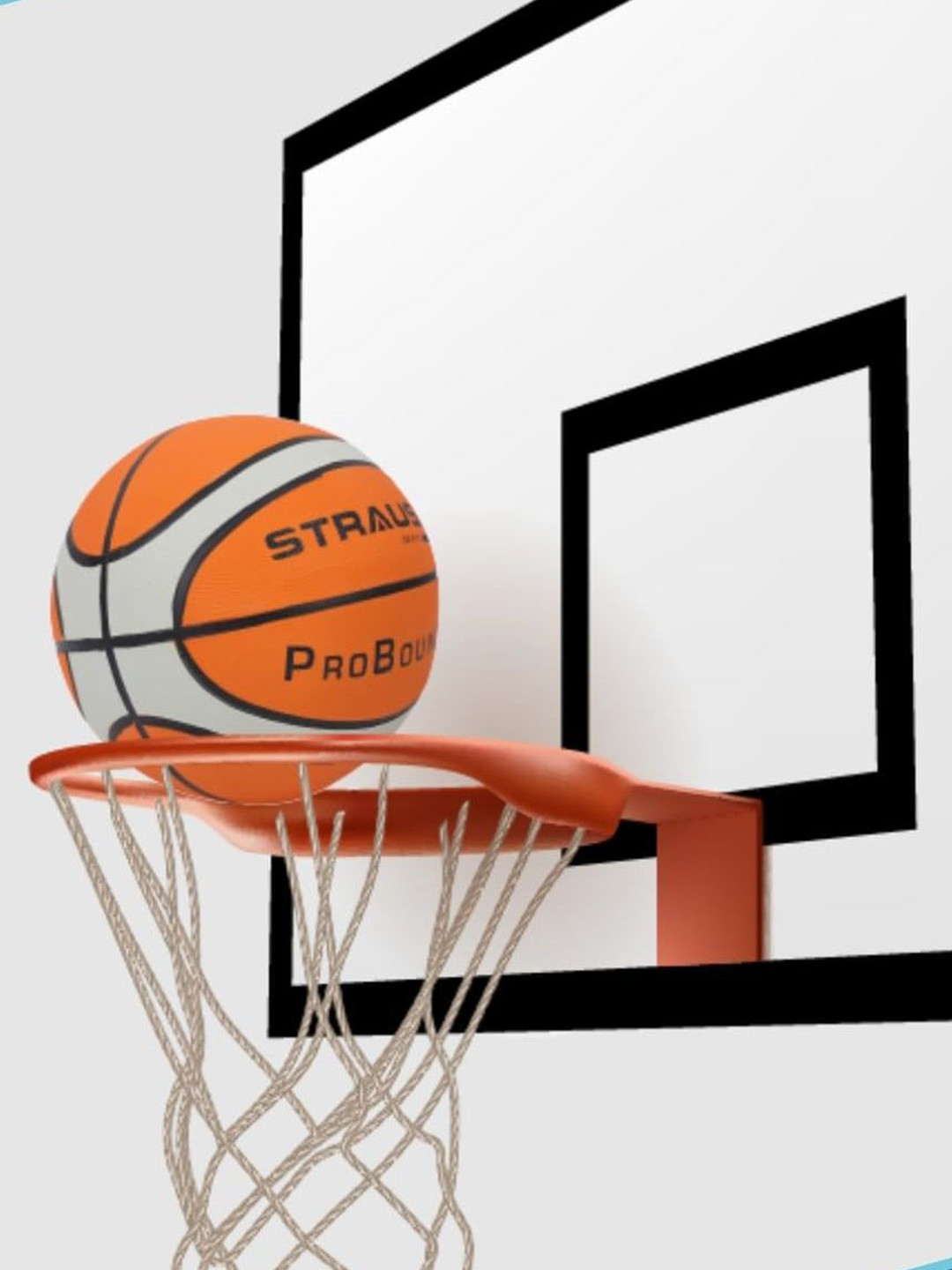 STRAUSS ColorBlacked Training Basketball