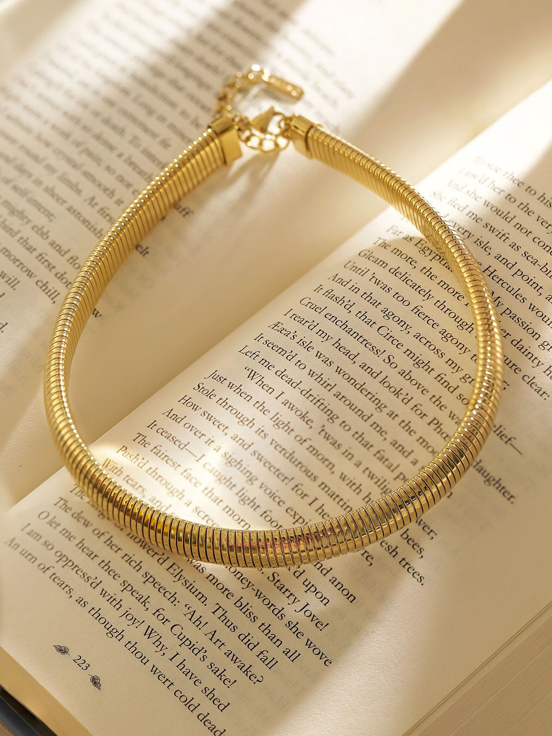 Priyaasi Gold-Plated Fashionary Elegant Choker Necklace