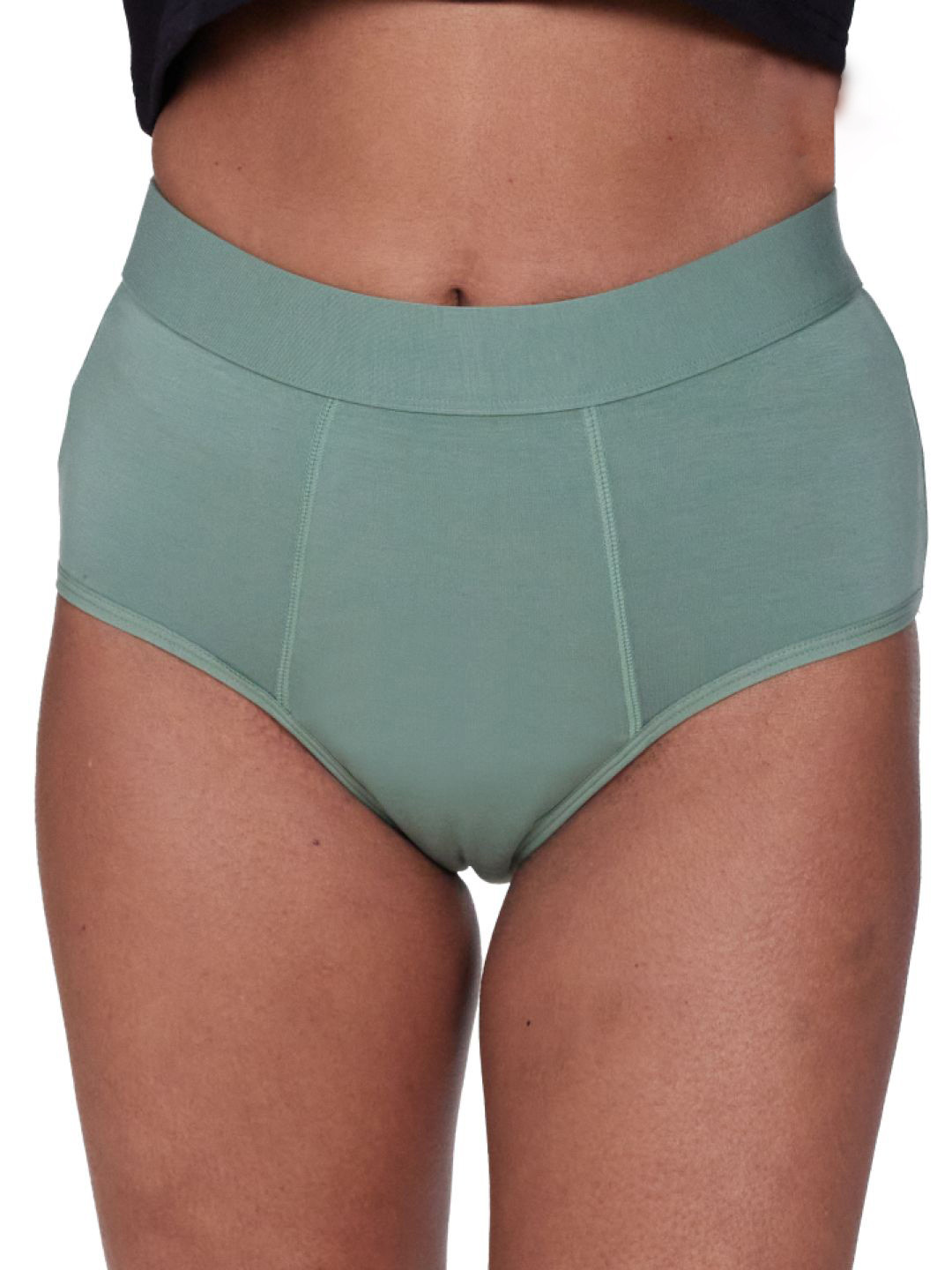 BE ME High Rise Ribbed Period Panty Women Briefs PPHM