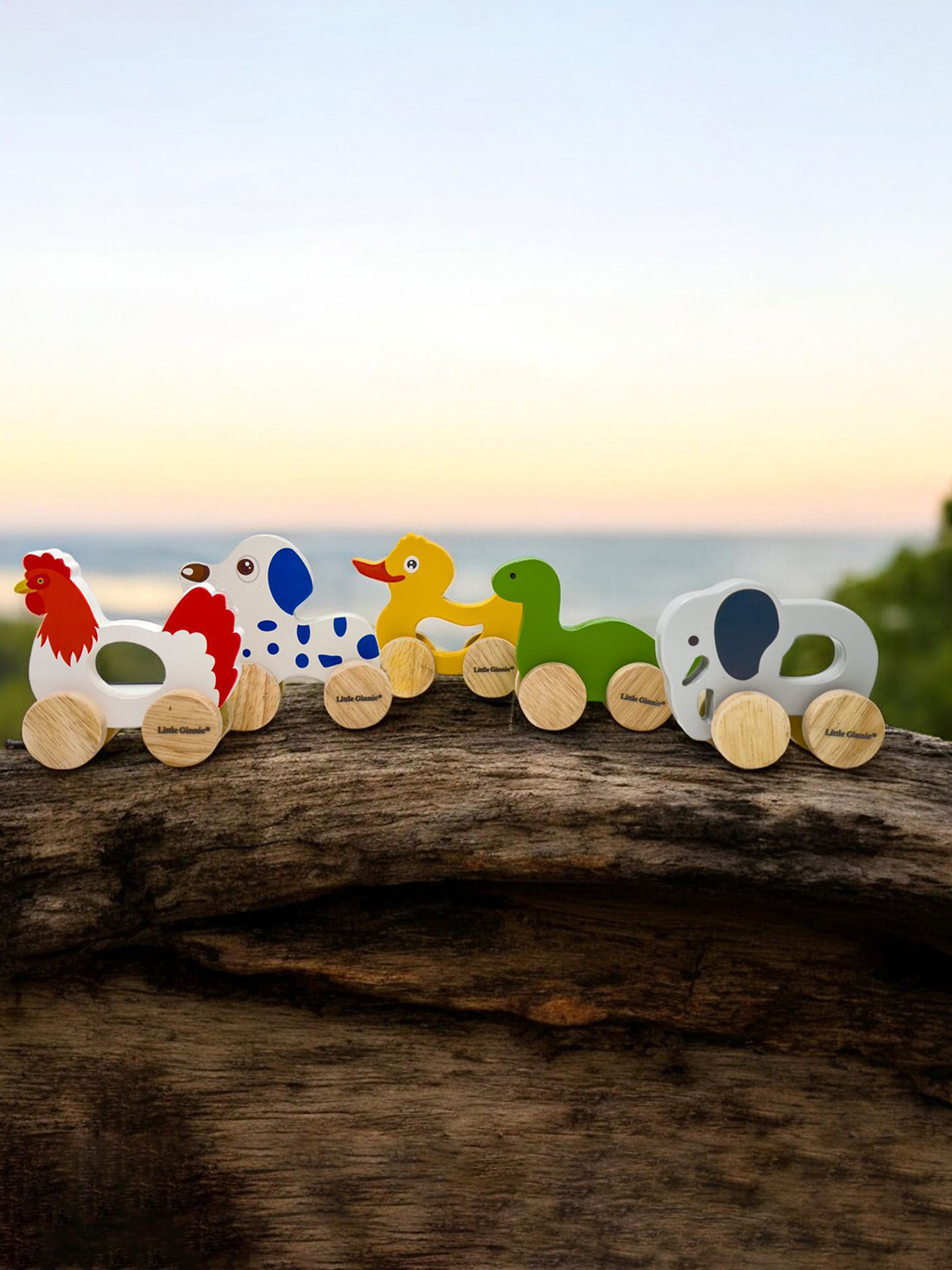 LITTLE GINNIE Kids 5-Pcs Wheels Push And Pull Animal Wooden Toys
