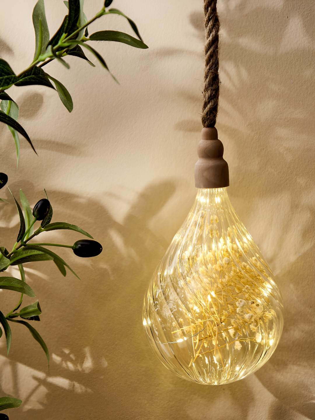 Home Centre Transparent Textured Glass Contemporary Hanging Light
