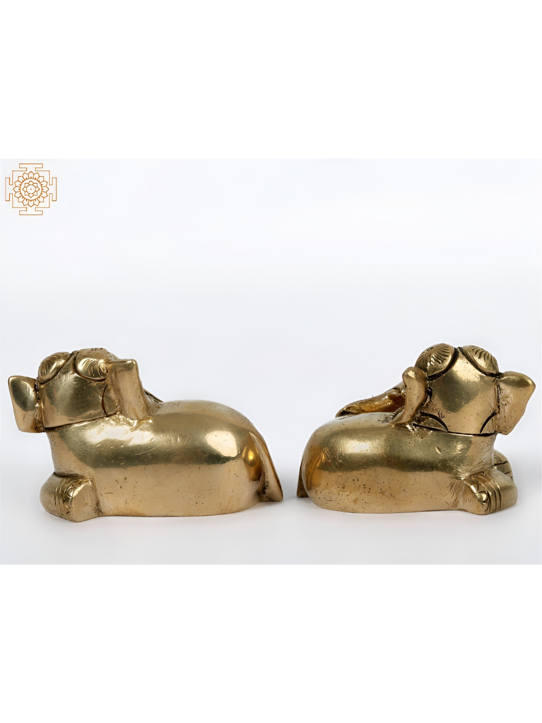 Exotic India Reclining Baby Elephant Pair Gold Brass Metallic Prayer Room Set of 2 Small Showpieces - 2.5 Inches