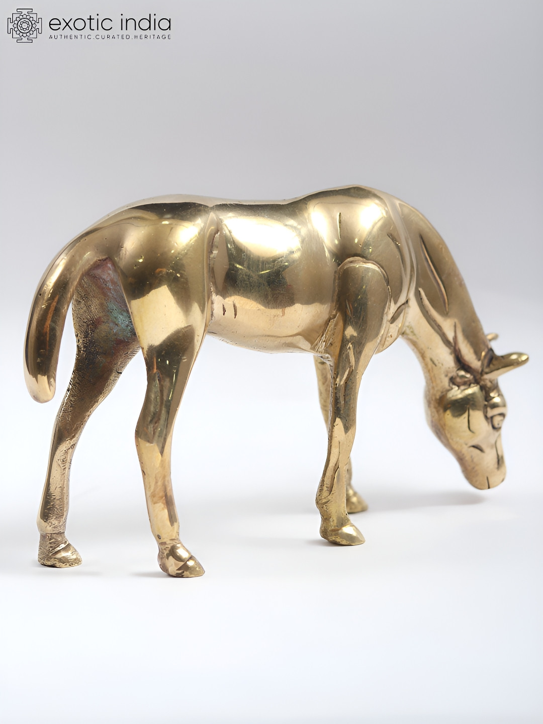 Exotic India Horse Grazing Grass Gold Brass Metallic Living Room Small Showpiece - 4 Inches