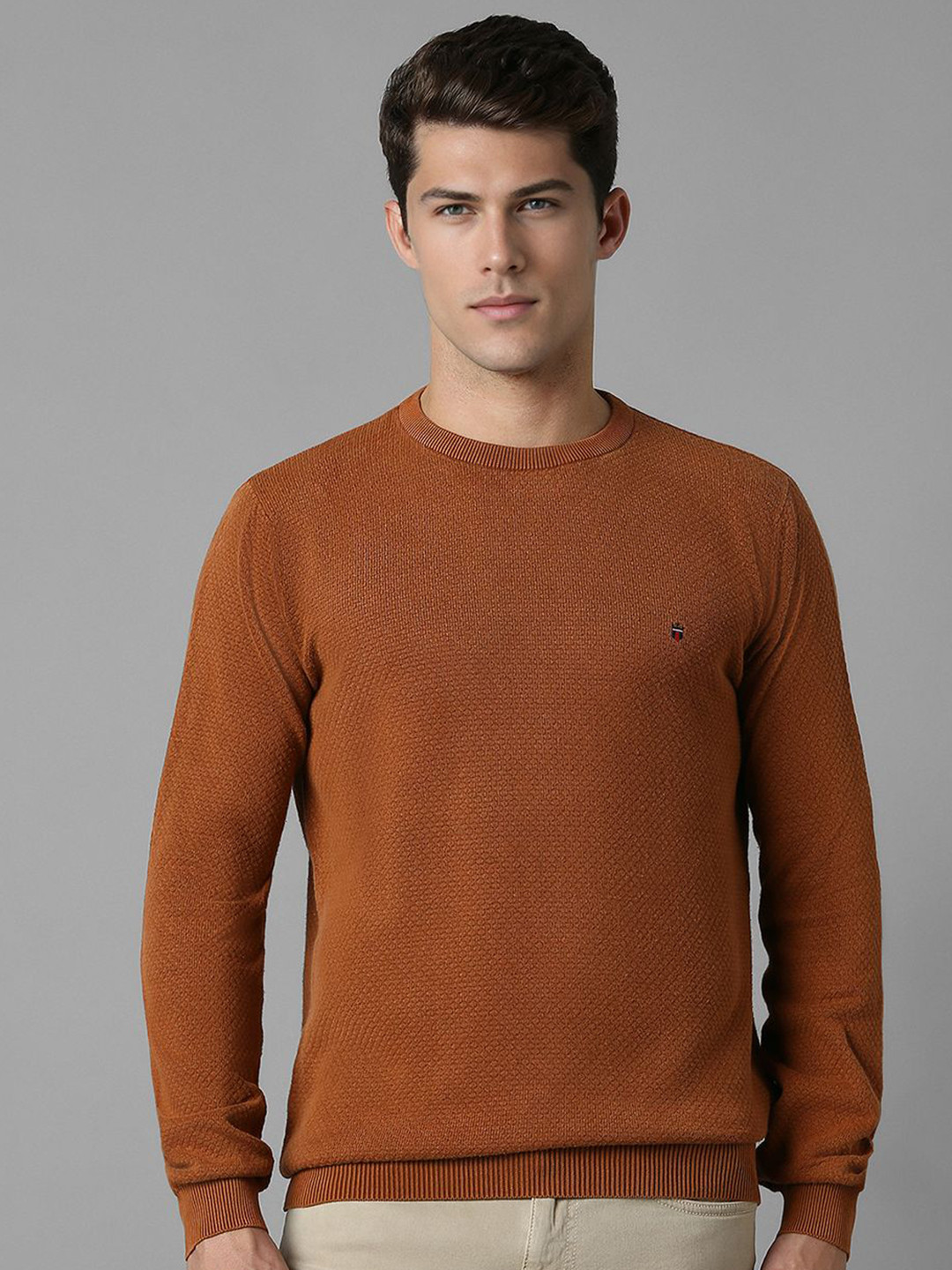 Louis Philippe Jeans Men Pullover