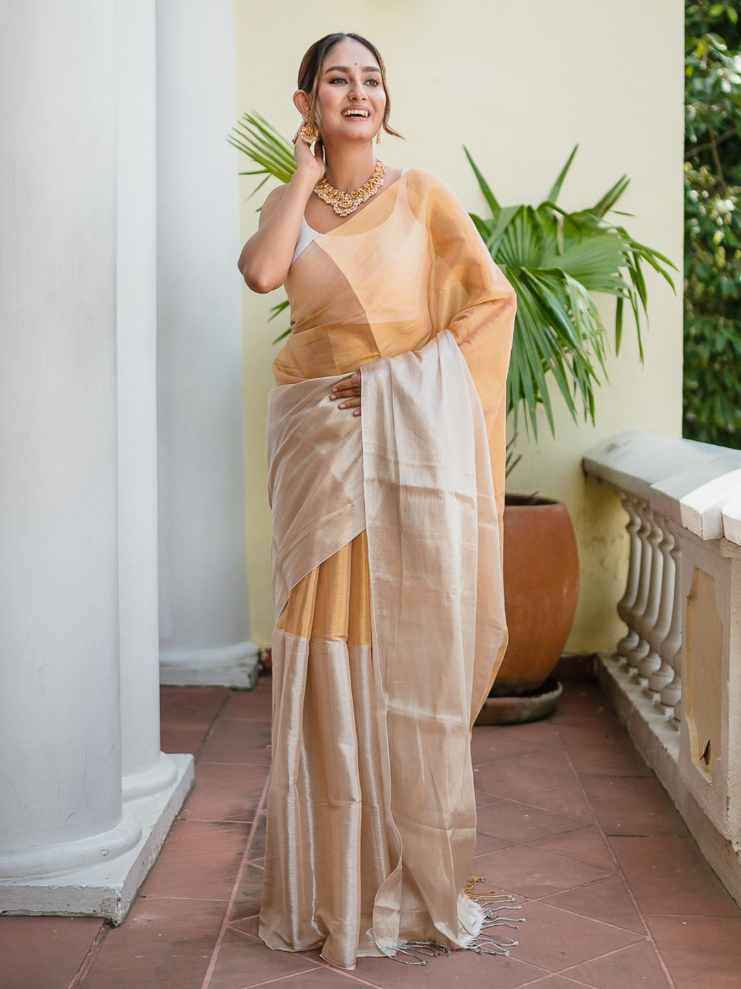 RODDUR Ombre Tissue Saree