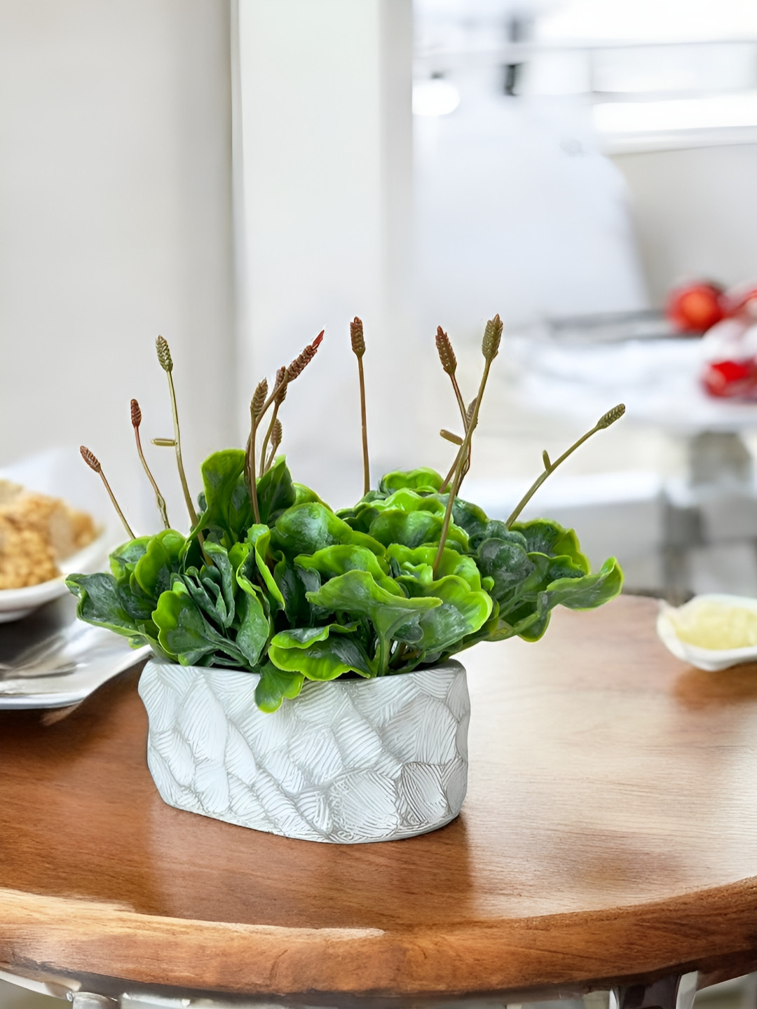 Art Street Brown & Green Ginko Leaf Artificial Plant With Pot