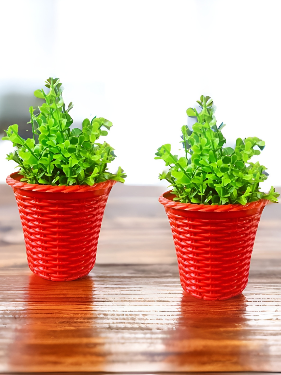 Akaar Red & Green 2 Pieces Jade Artificial Plant With Pot