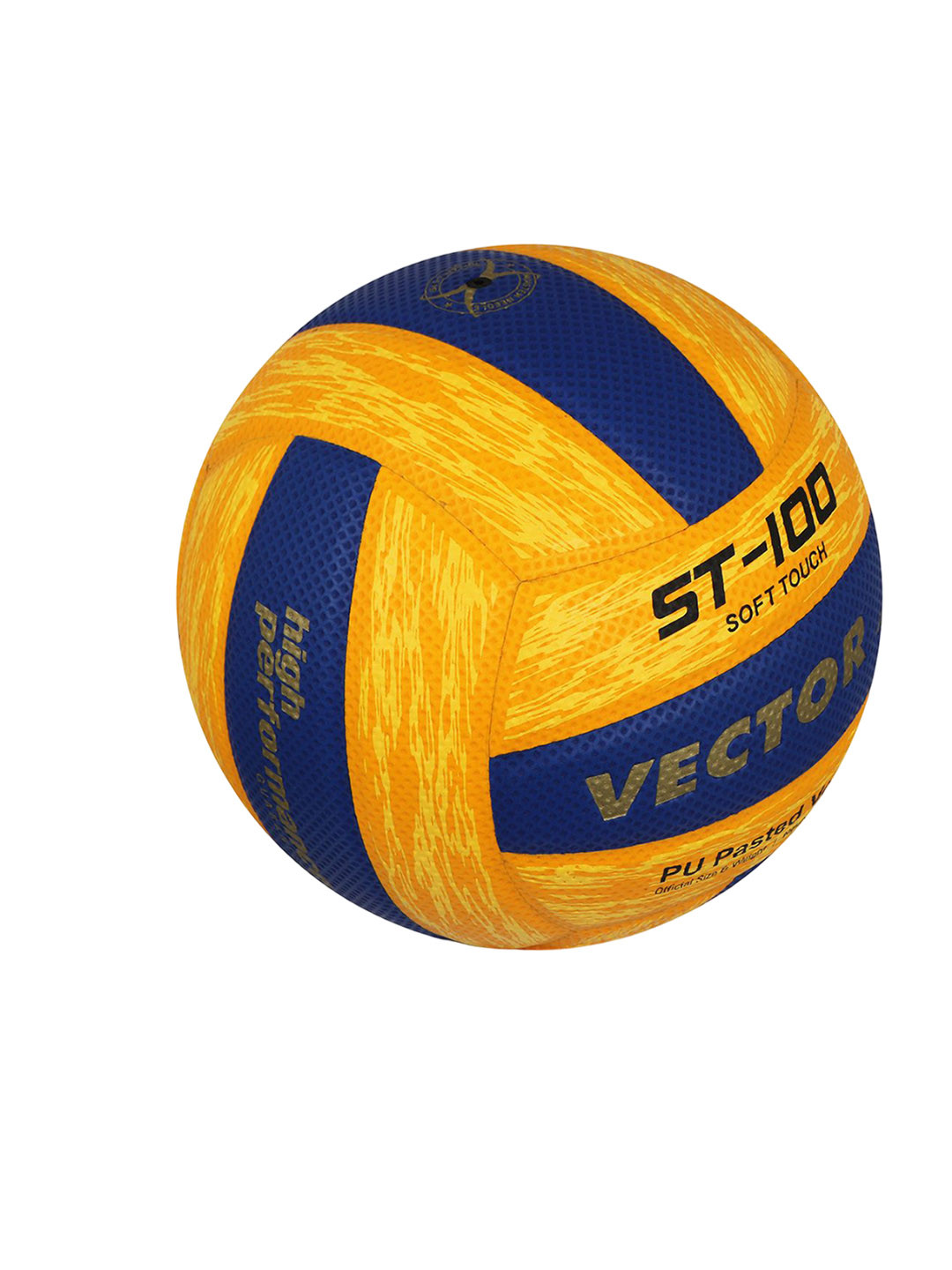 VECTOR X Printed Beginners Volleyballs