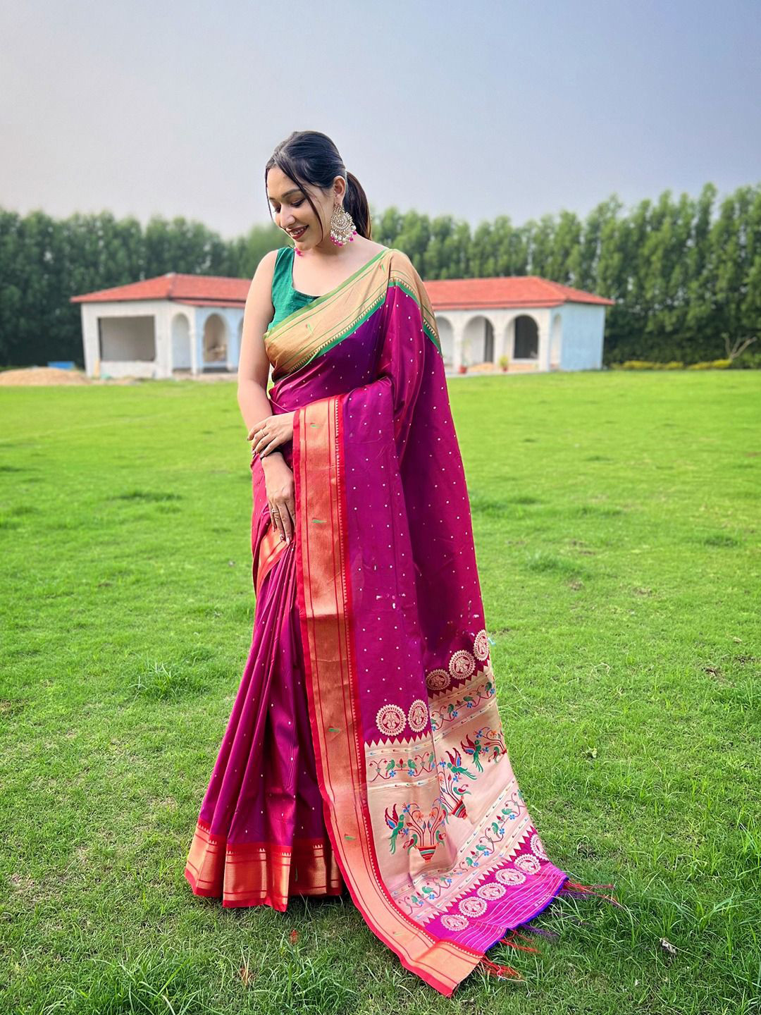 SGF11 Ethnic Motifs Zari Saree