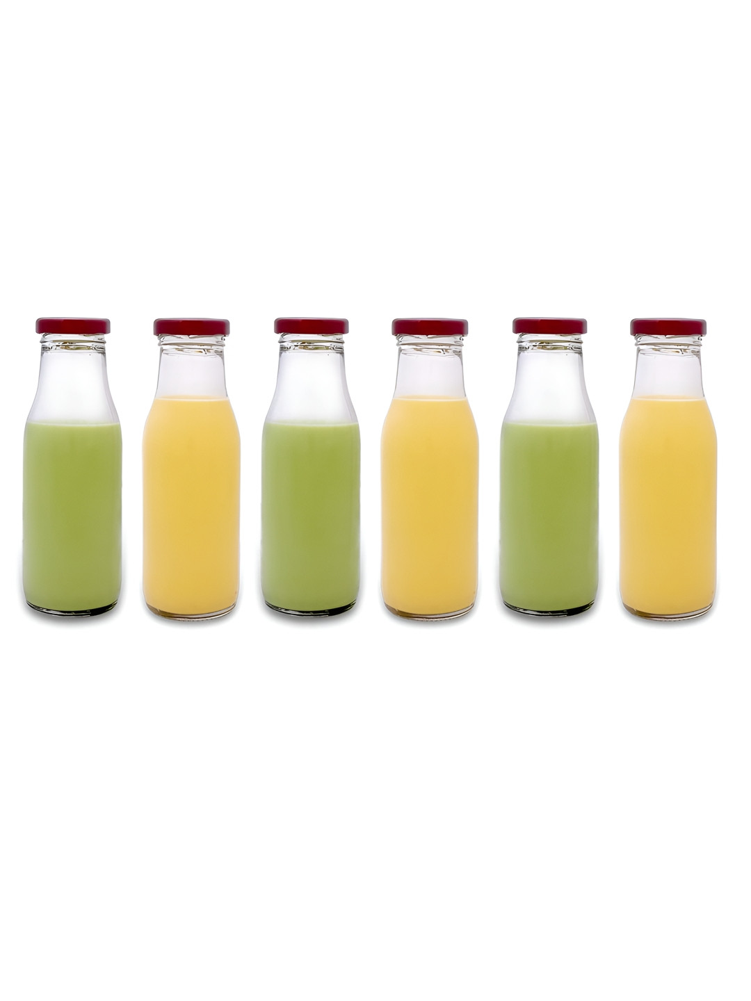 CROCO JAR Transparent Set of 6 Glass Solid Water Bottle