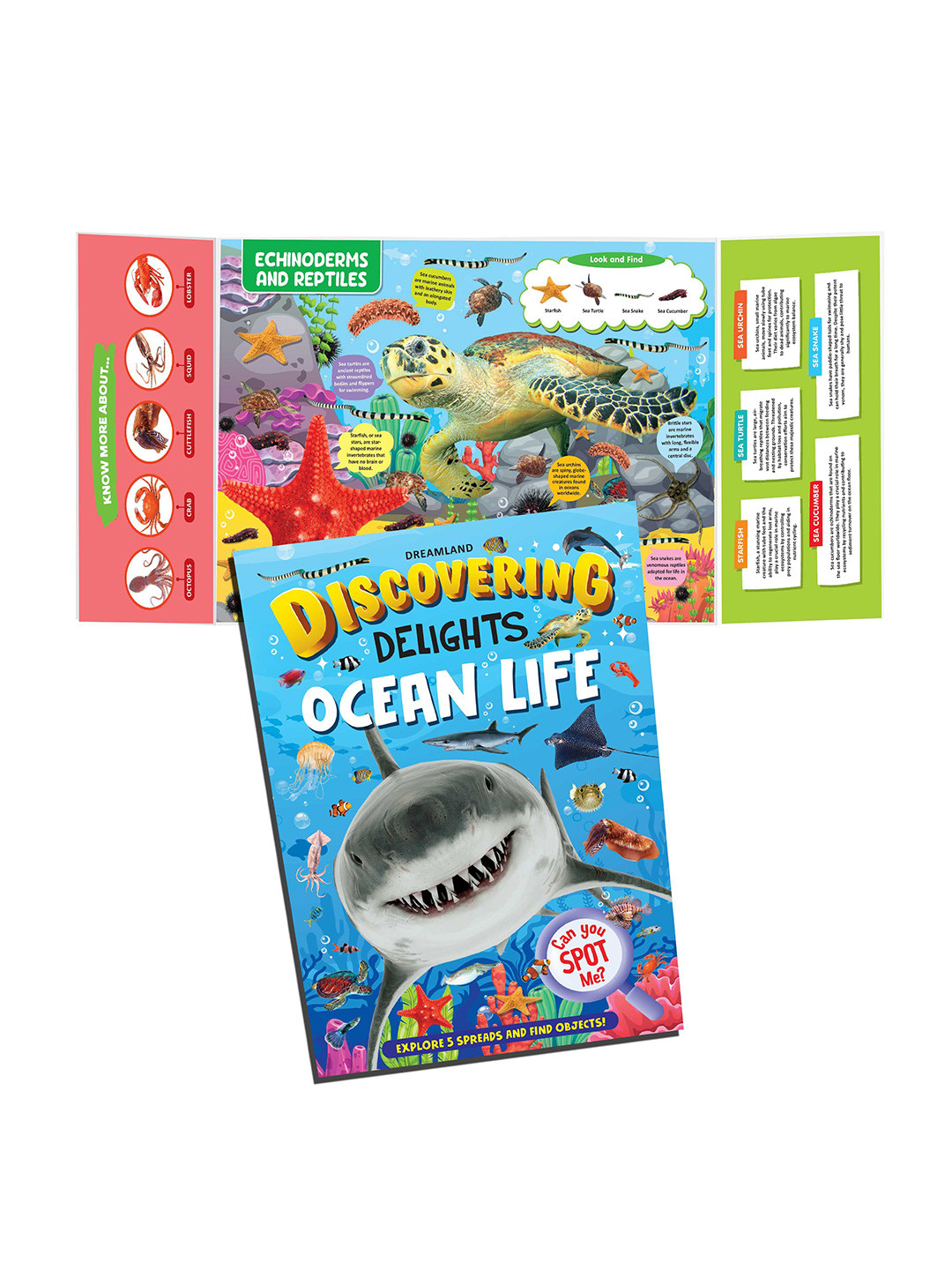 Dreamland Ocean Life Discovering Delights Flap Book for Kids