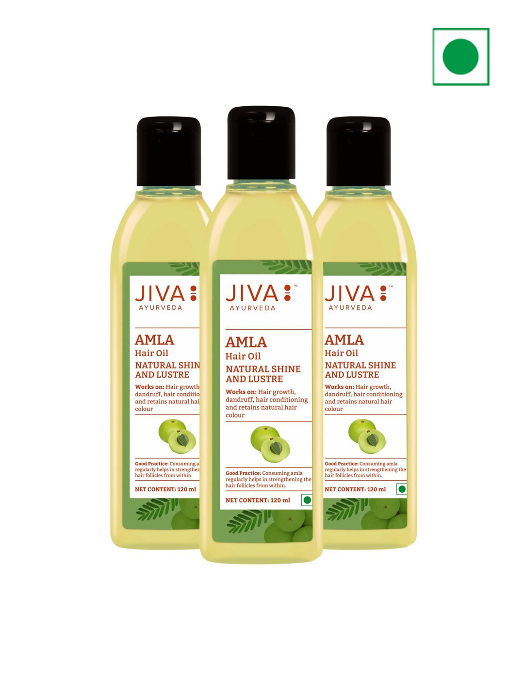 Jiva Set Of 3 Amla Ayurvedic Hair Oil - 120 ml Each