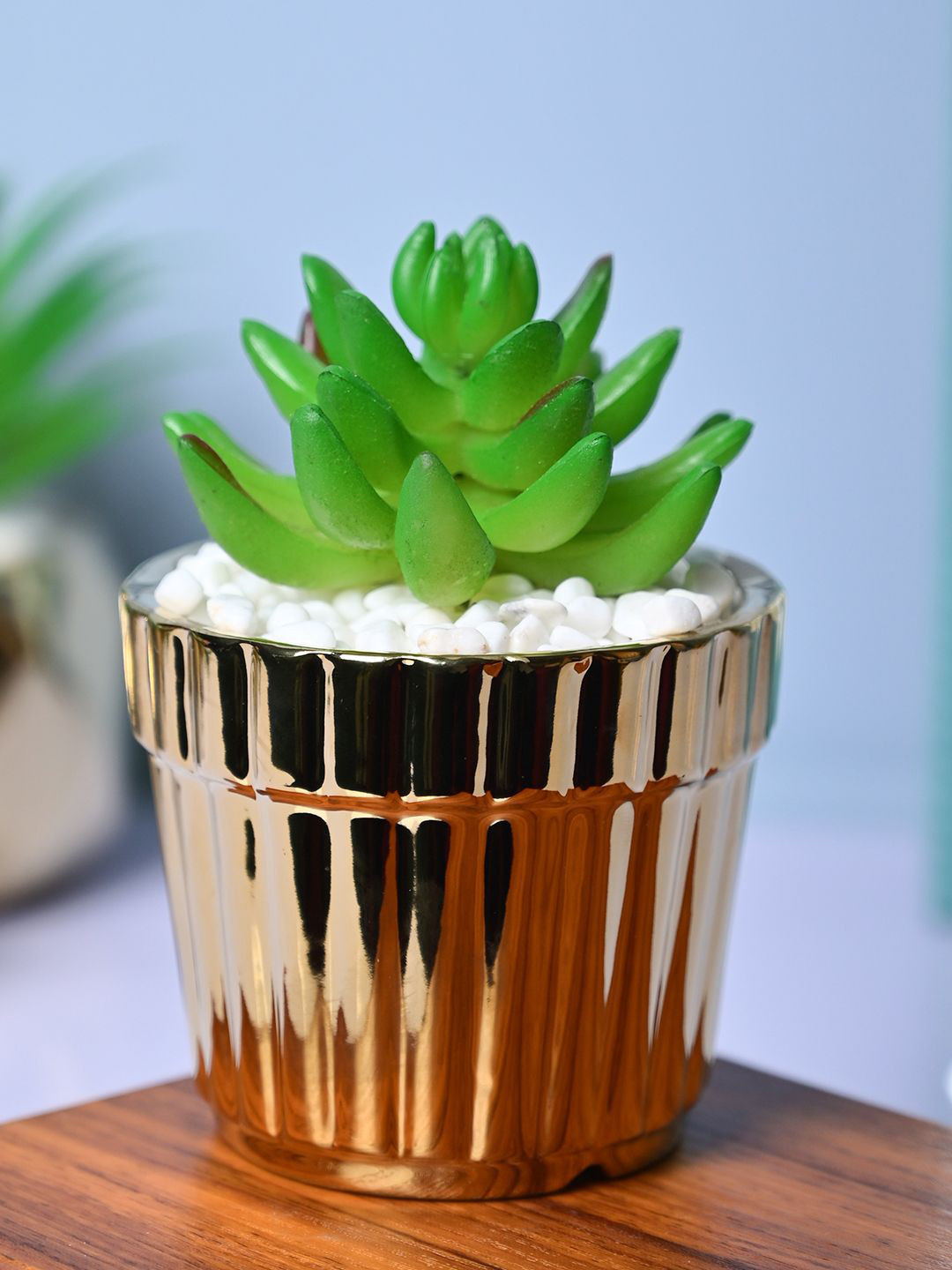 MARKET99 Gold-Toned & Green Artificial Plant With Pot