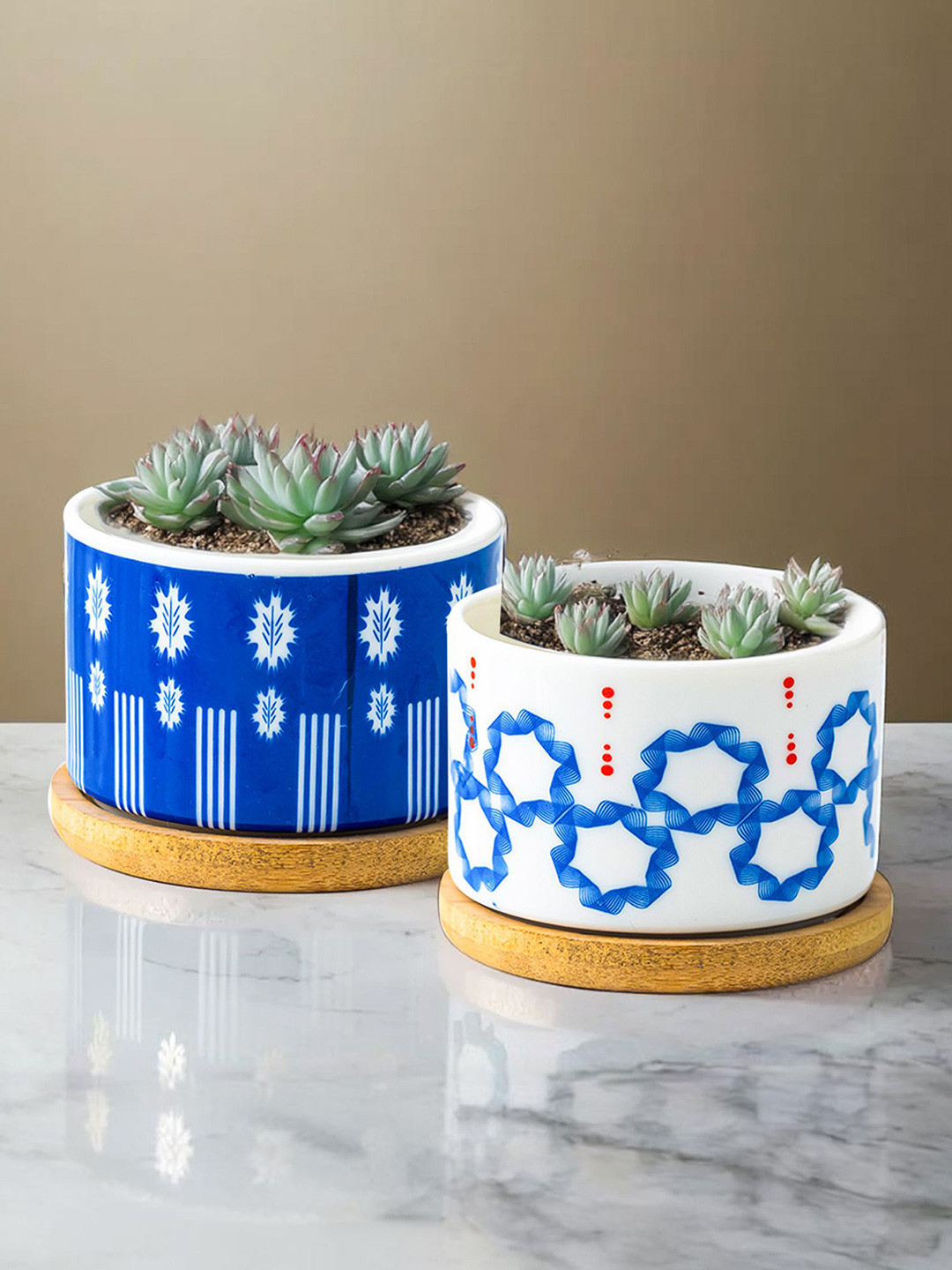 Nostrae by Ekhasa Blue & White 2 Pieces Printed Ceramic Succulent Planters With Saucer
