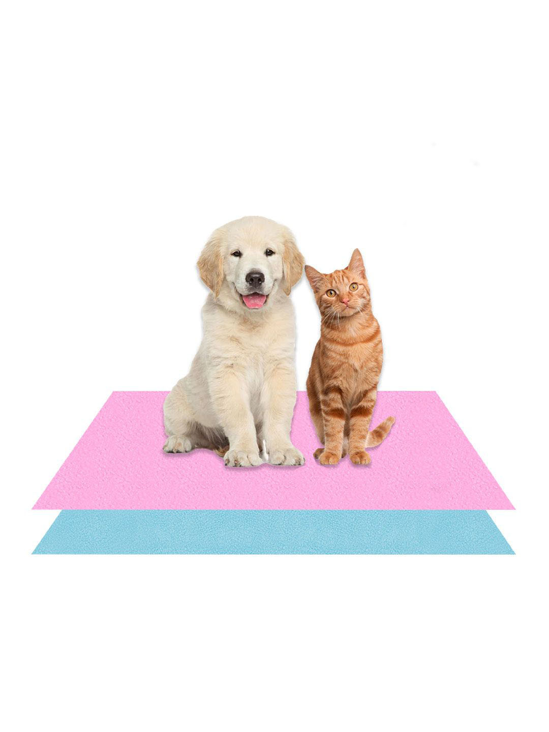 AMORITE Pink and Salmon Rose Waterproof Washable Pet mat For Dogs and Cats