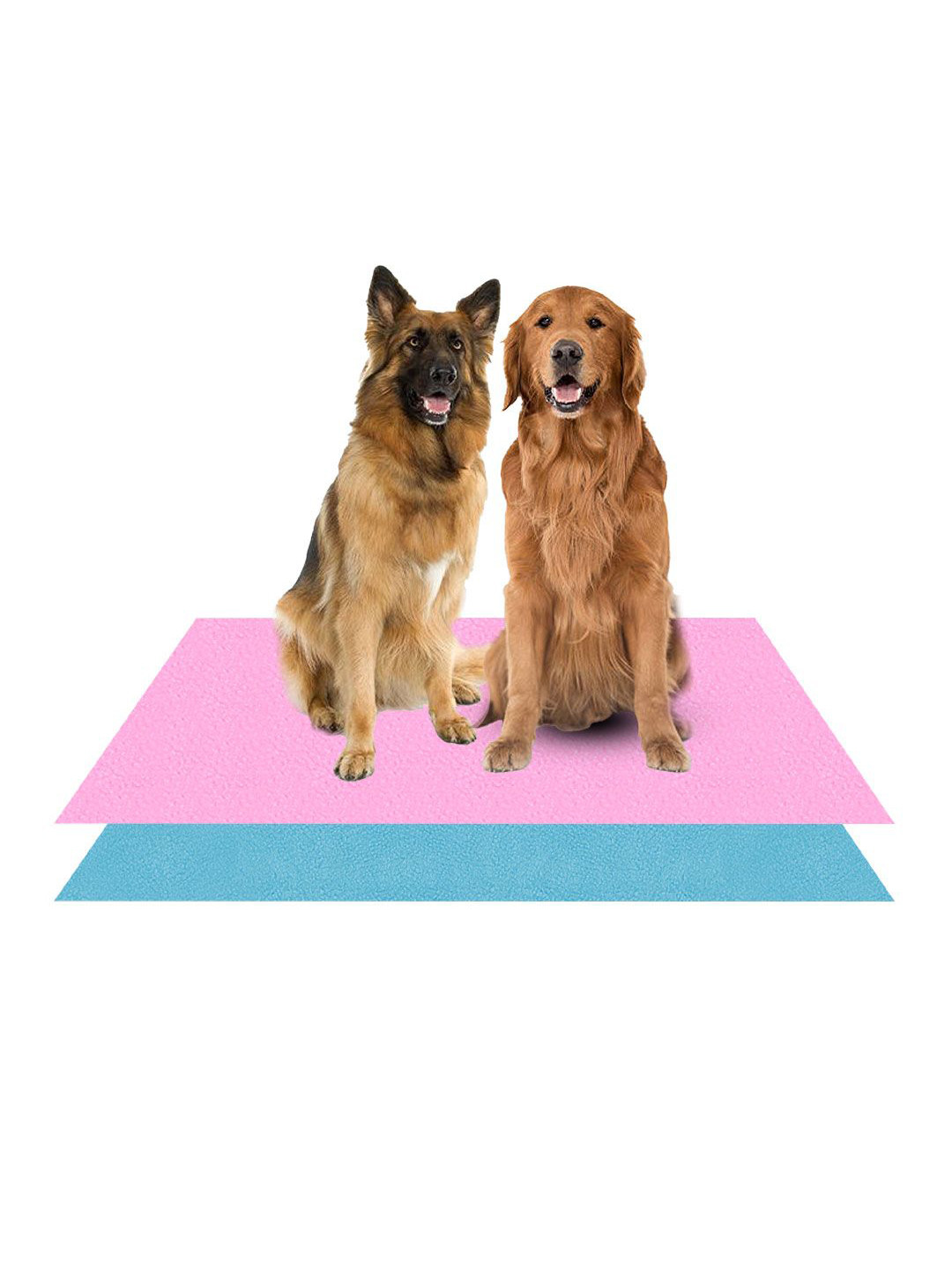 AMORITE Pink and Salmon Rose Waterproof Washable Pet mat For Dogs and Cats