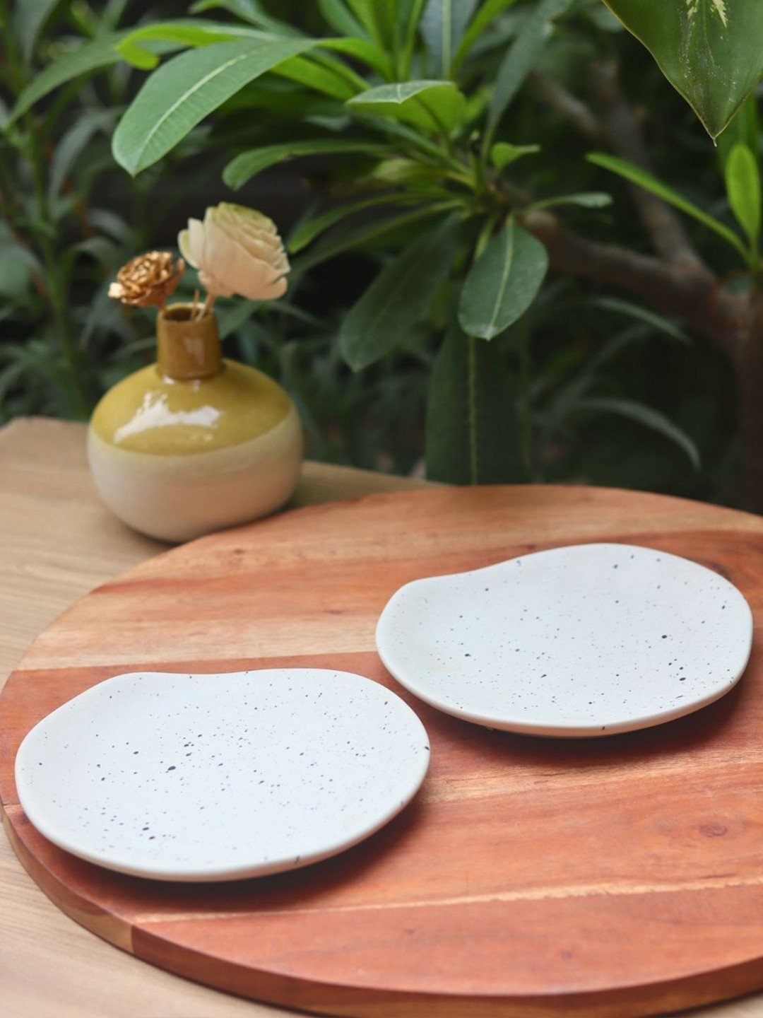 WEAVING HOMES 2-Pcs White Ceramic Plates