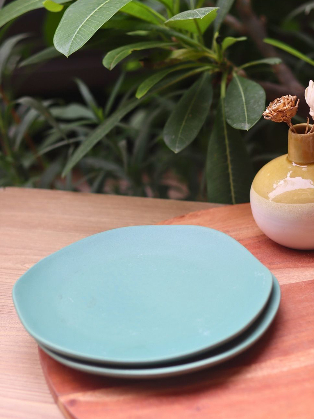 WEAVING HOMES 2-Pcs Teal Blue Ceramic Plates