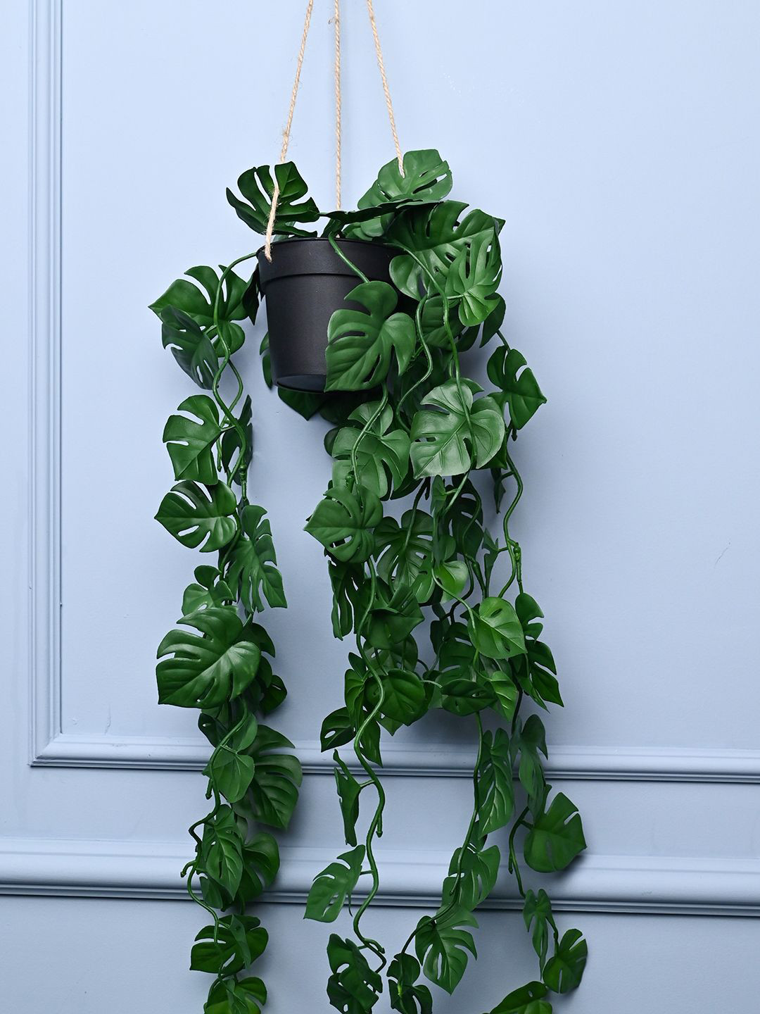 MARKET99 Green Plastic Hanging Planter with Black Pot