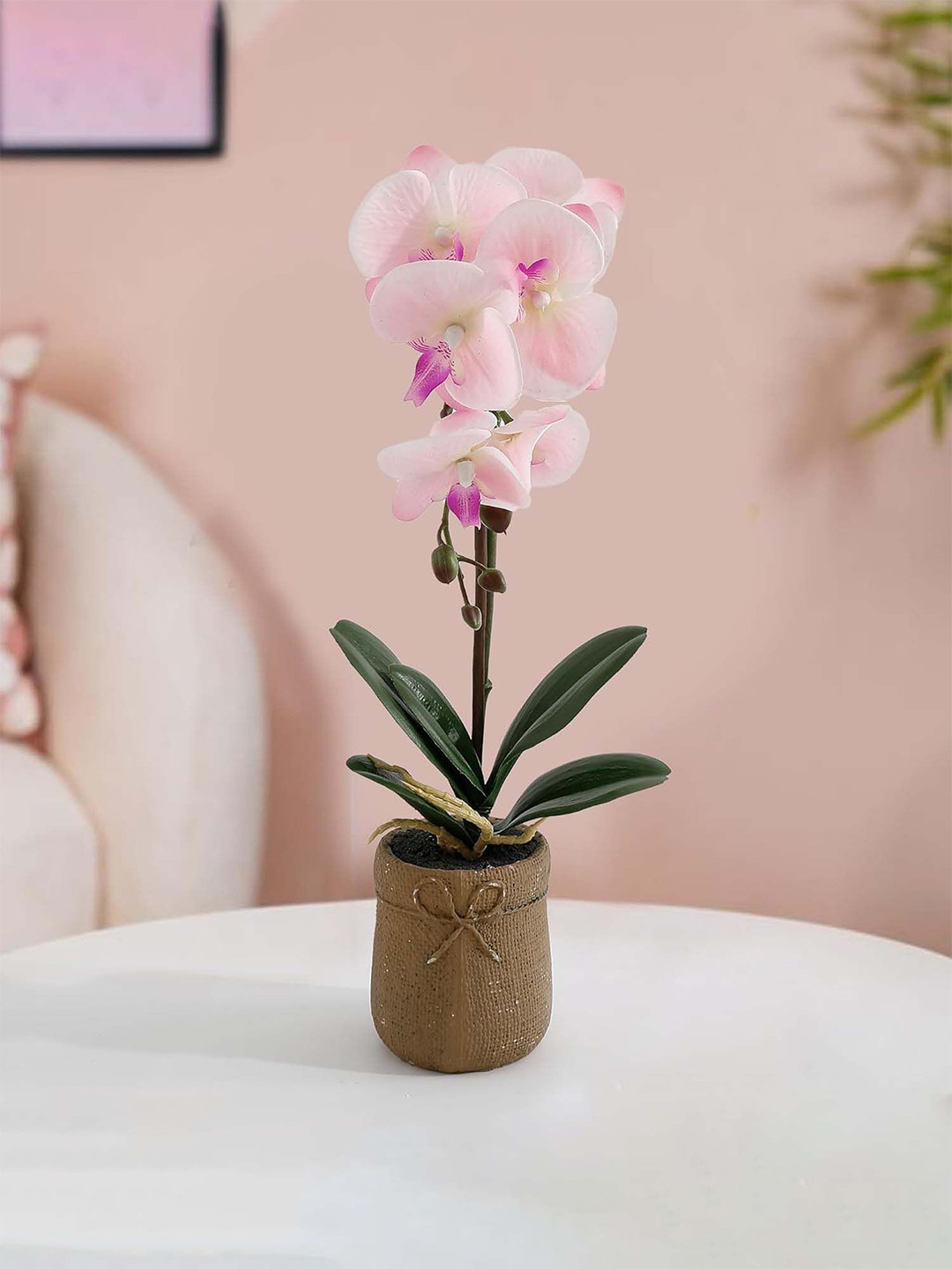 Nostrae by Ekhasa Pink & Green Orchid Artificial Flower With Pot