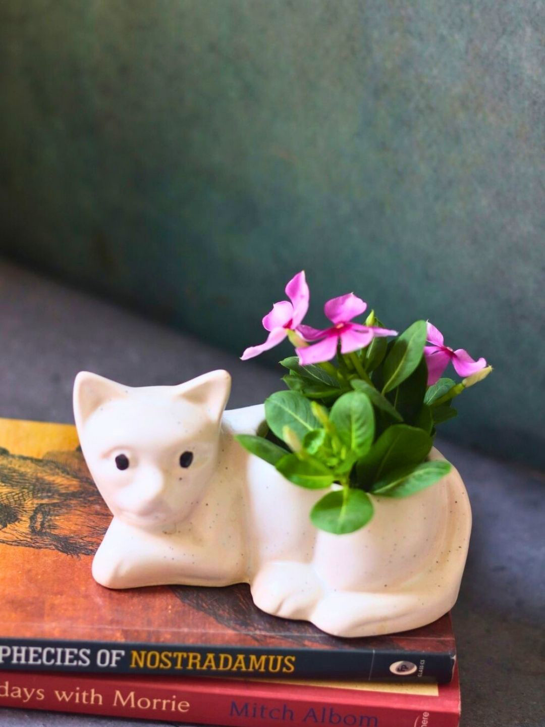 WEAVING HOMES White Textured Ceramic Cat Shaped Planters