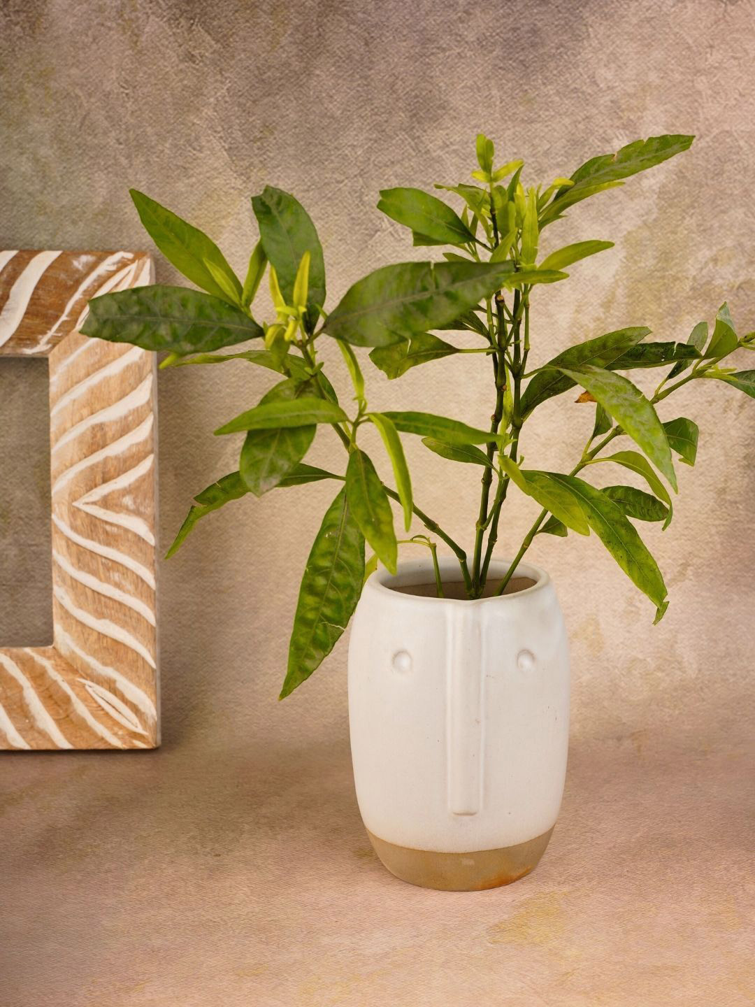 WEAVING HOMES White Ceramic Face Planter Pot