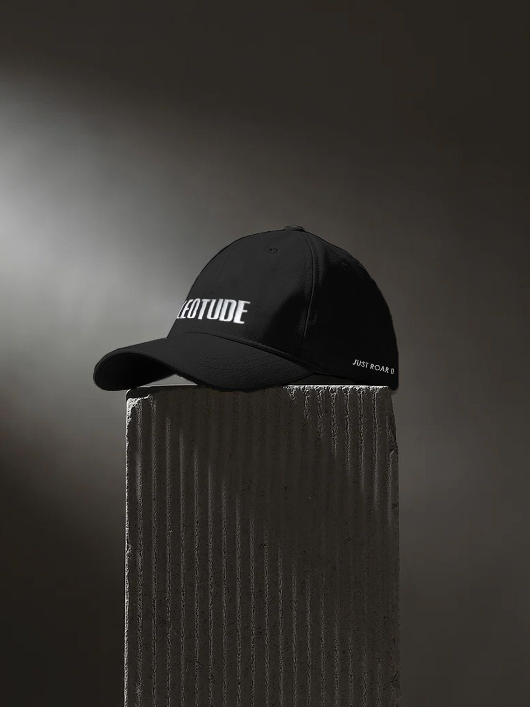 Leotude Men Embroidered Baseball Cap