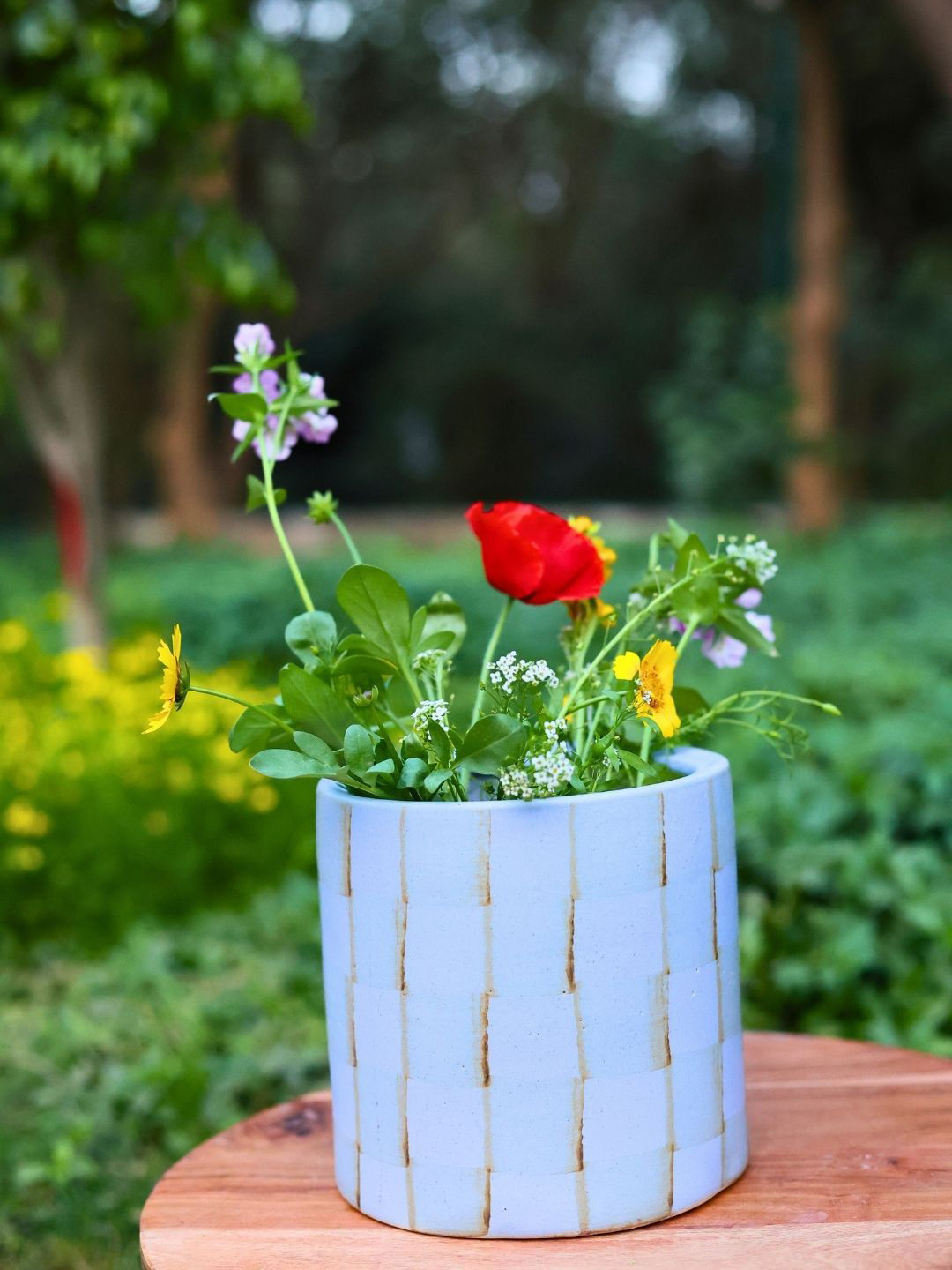 WEAVING HOMES  Blue Checked Ceramic Planters