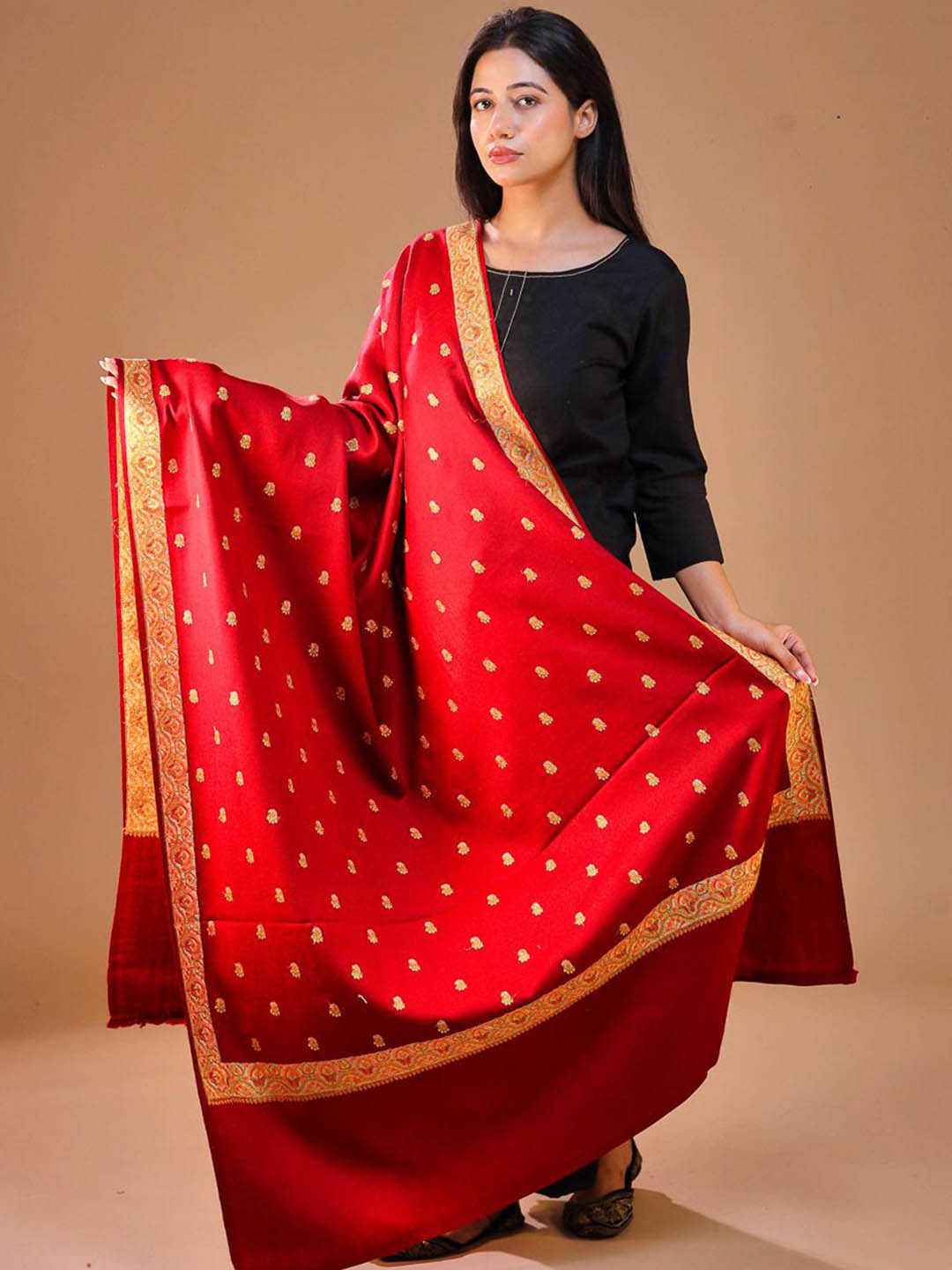 SWI Stylish Ethnic Motifs Embroidered Pashmina Shawl