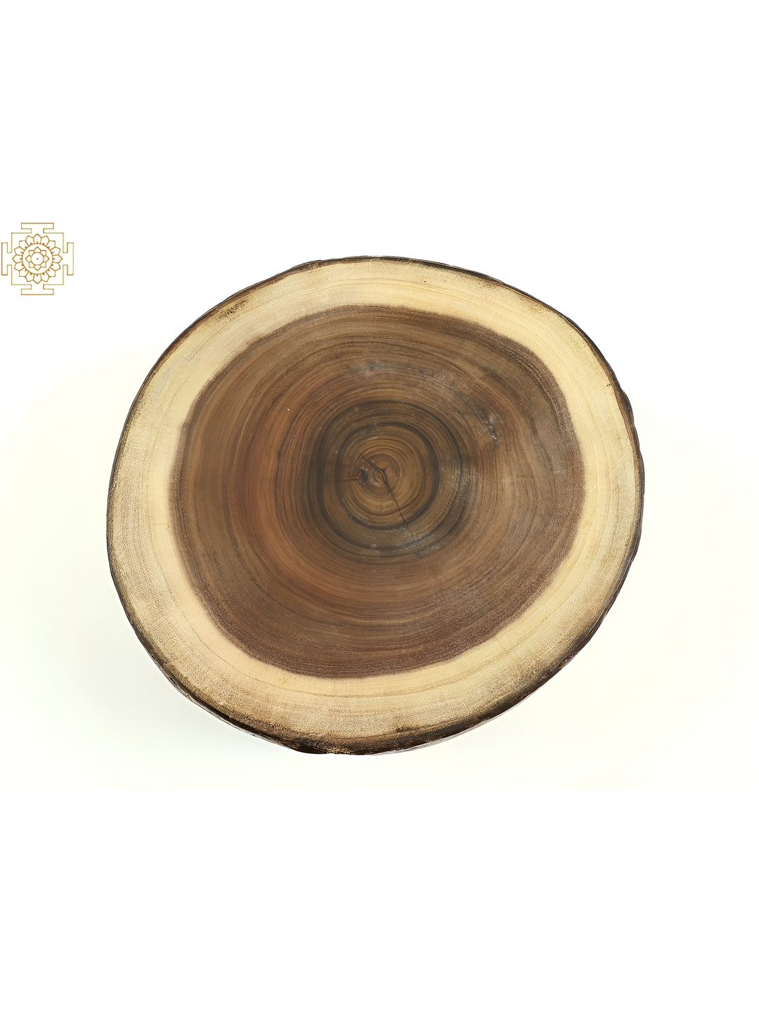 Exotic India Pedestal Brown Wood Natural Living Room Large Showpiece - 3 Inches