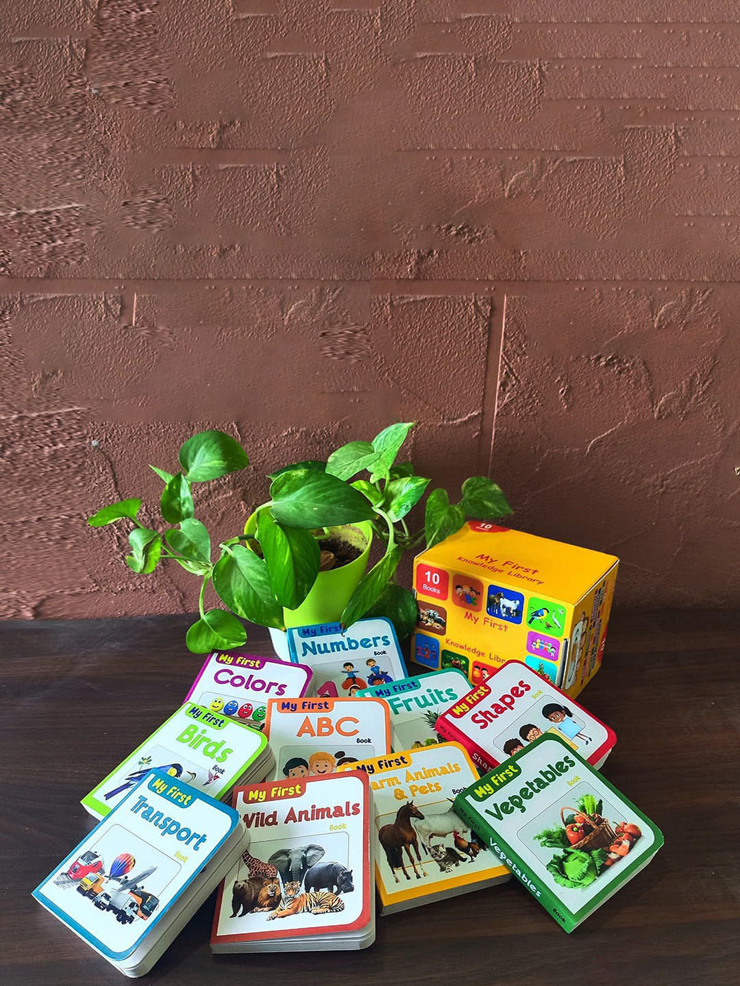 DALUCI Book Toy Learning and Development Toys