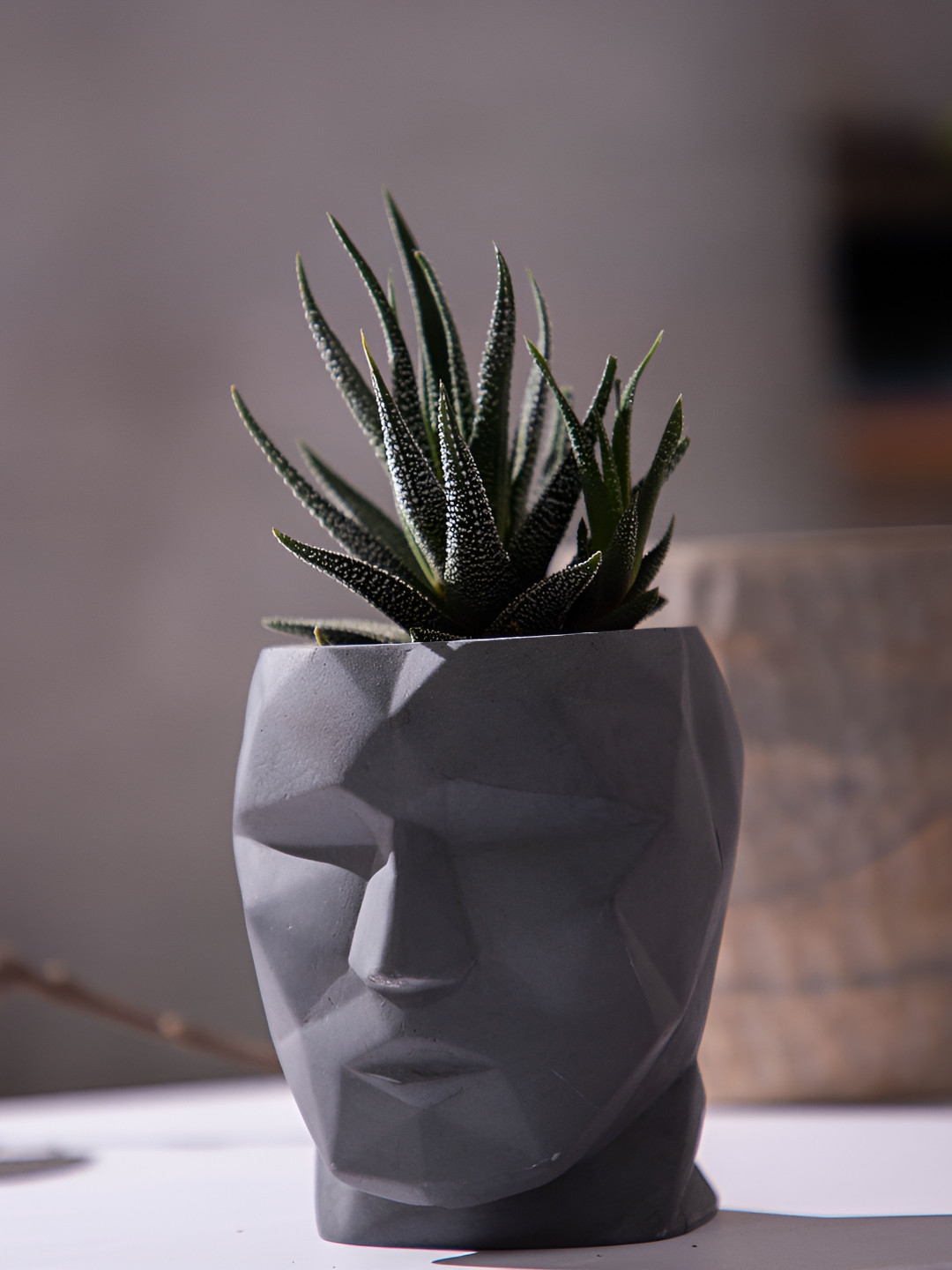 Greyt Grey Textured Cement Head Shaped  Planter