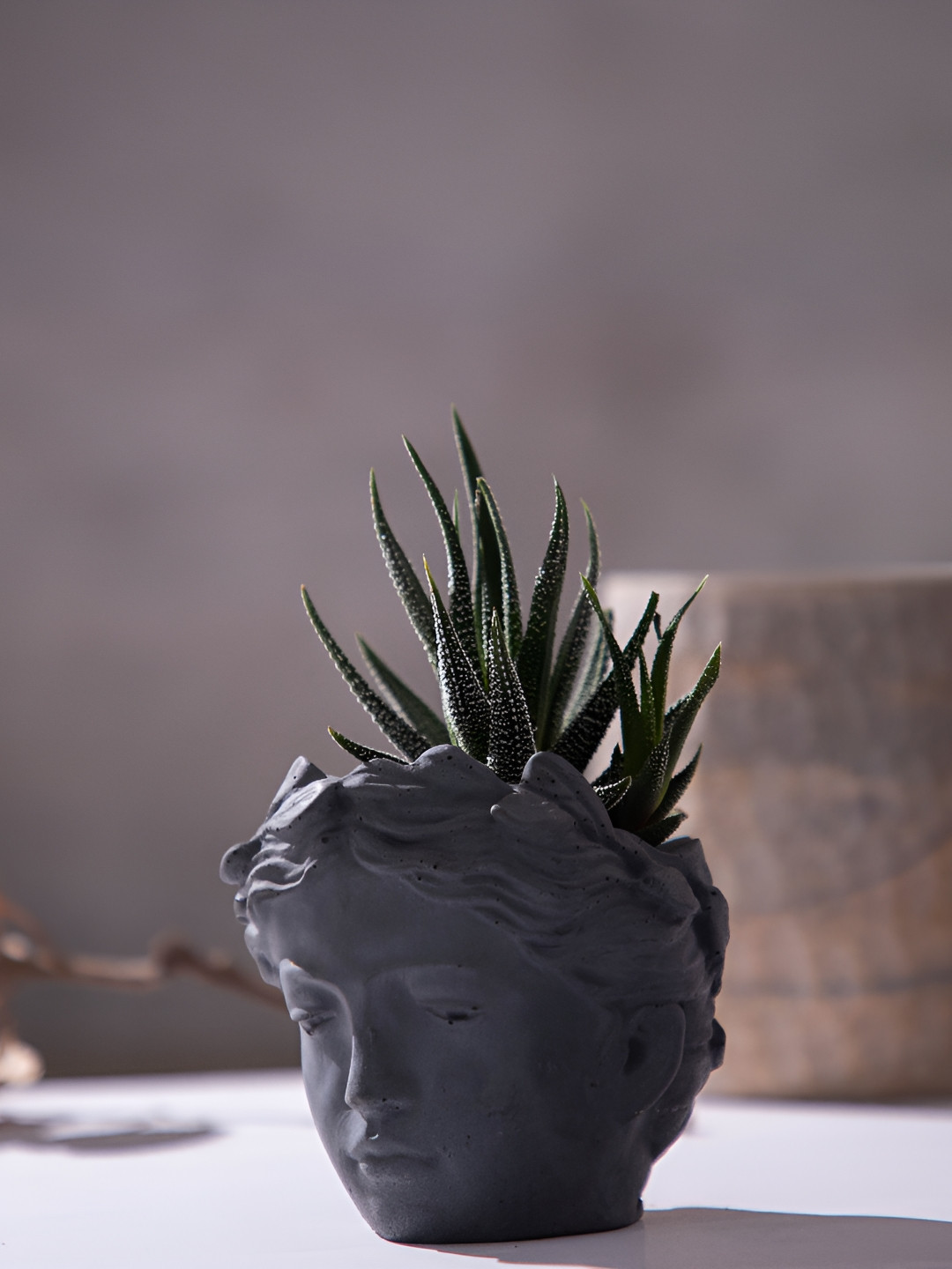 Greyt Grey Face Shaped Cement Planter