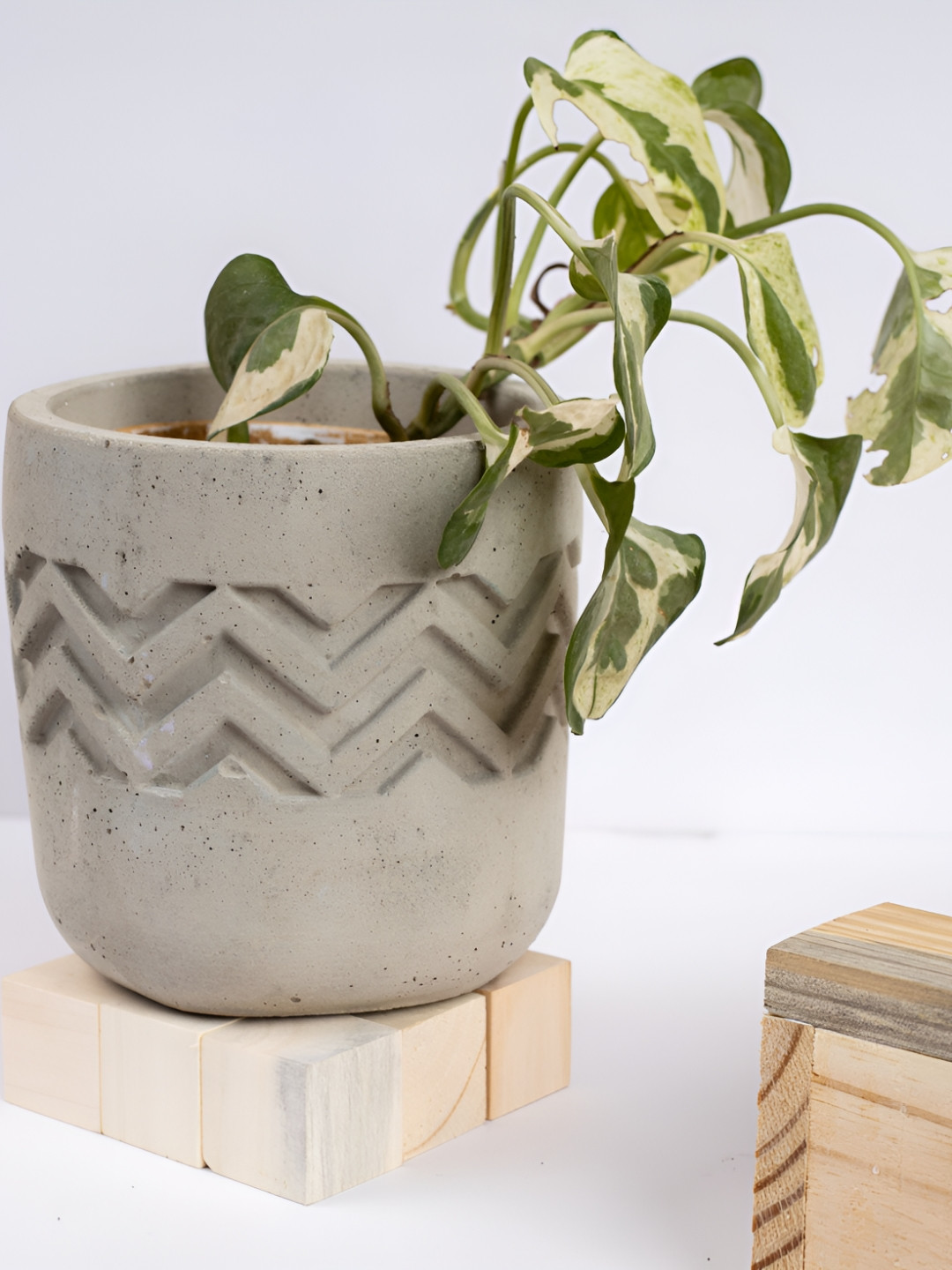 Greyt Chevro Beige Colored Textured Designer Succulent Planter