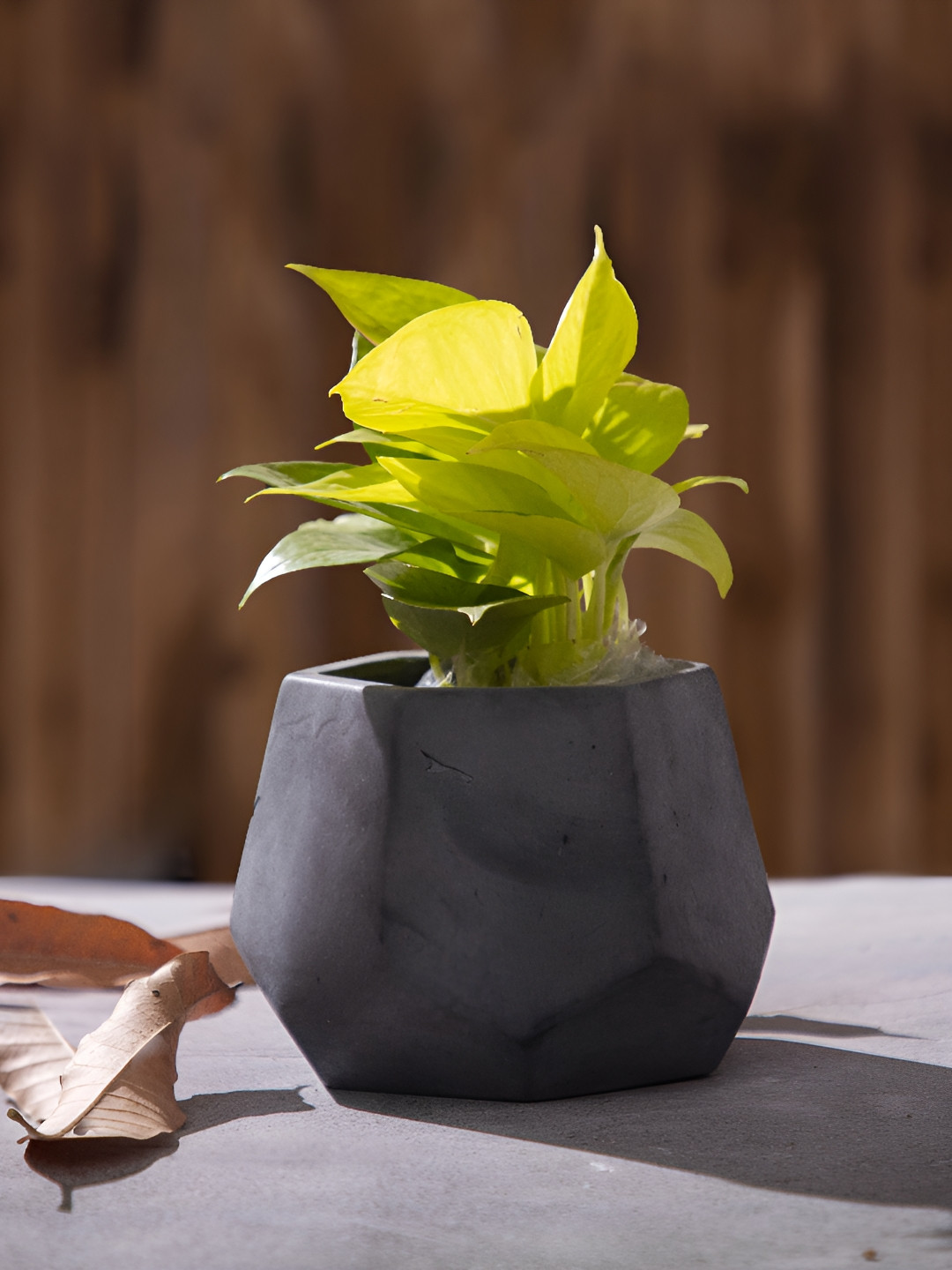 Greyt PentHex-Dark Grey Textured Cement Planter