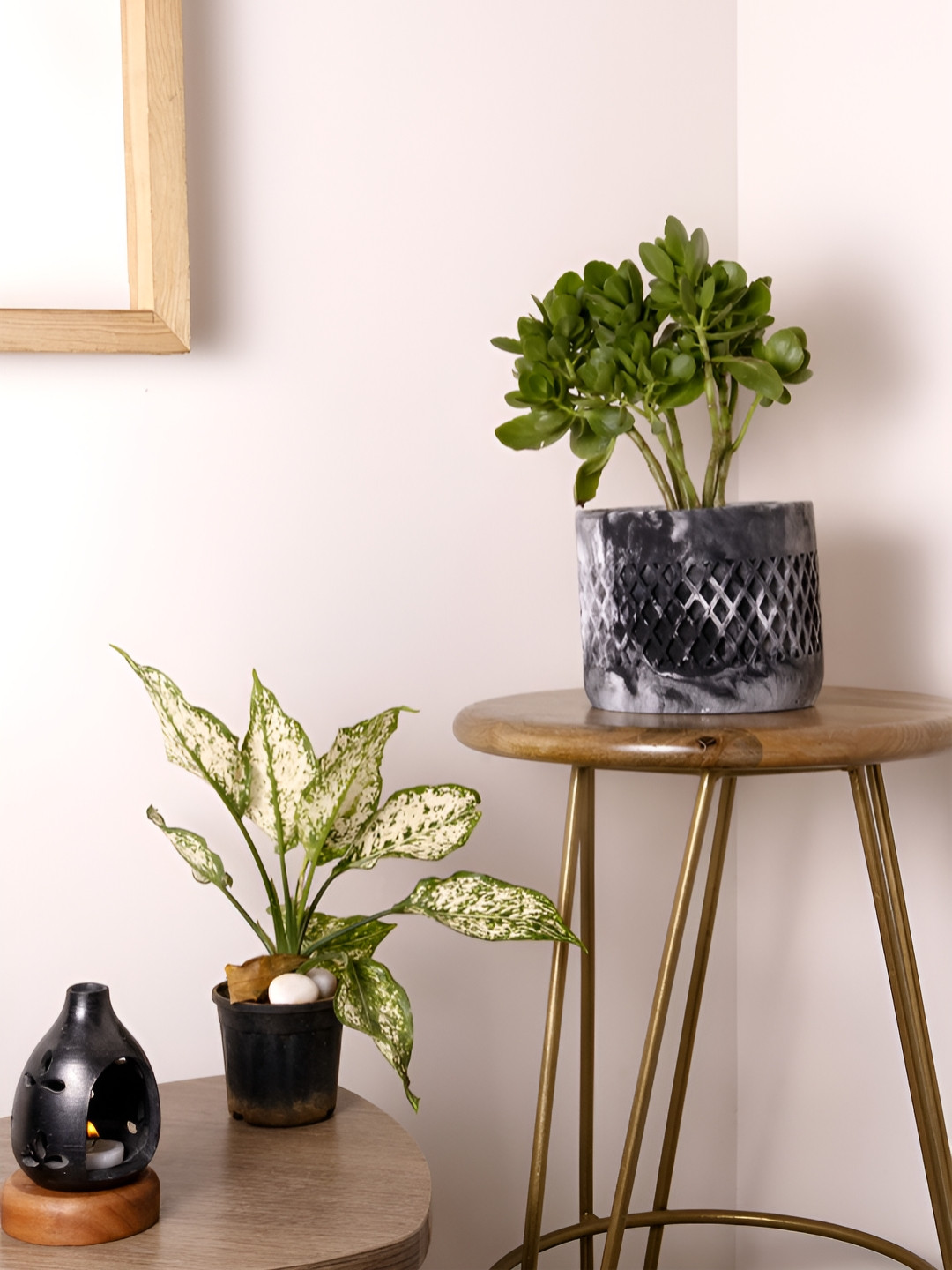 Greyt White & Black Geometric Textured Gardening Planters