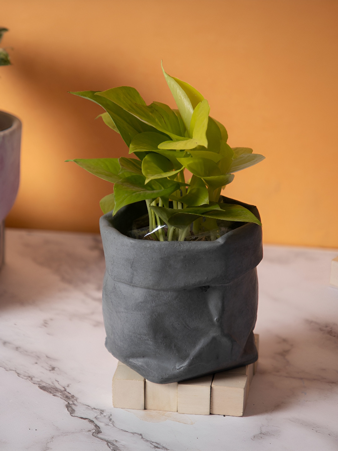 Greyt Grey Textured Cement Planters