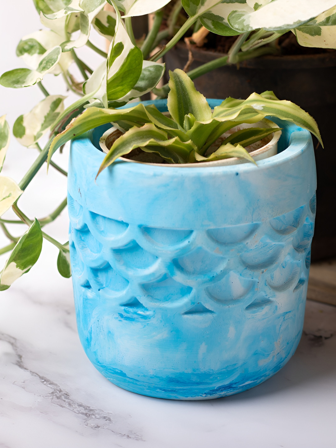 Greyt Camber Blue & White Textured Cement Planters