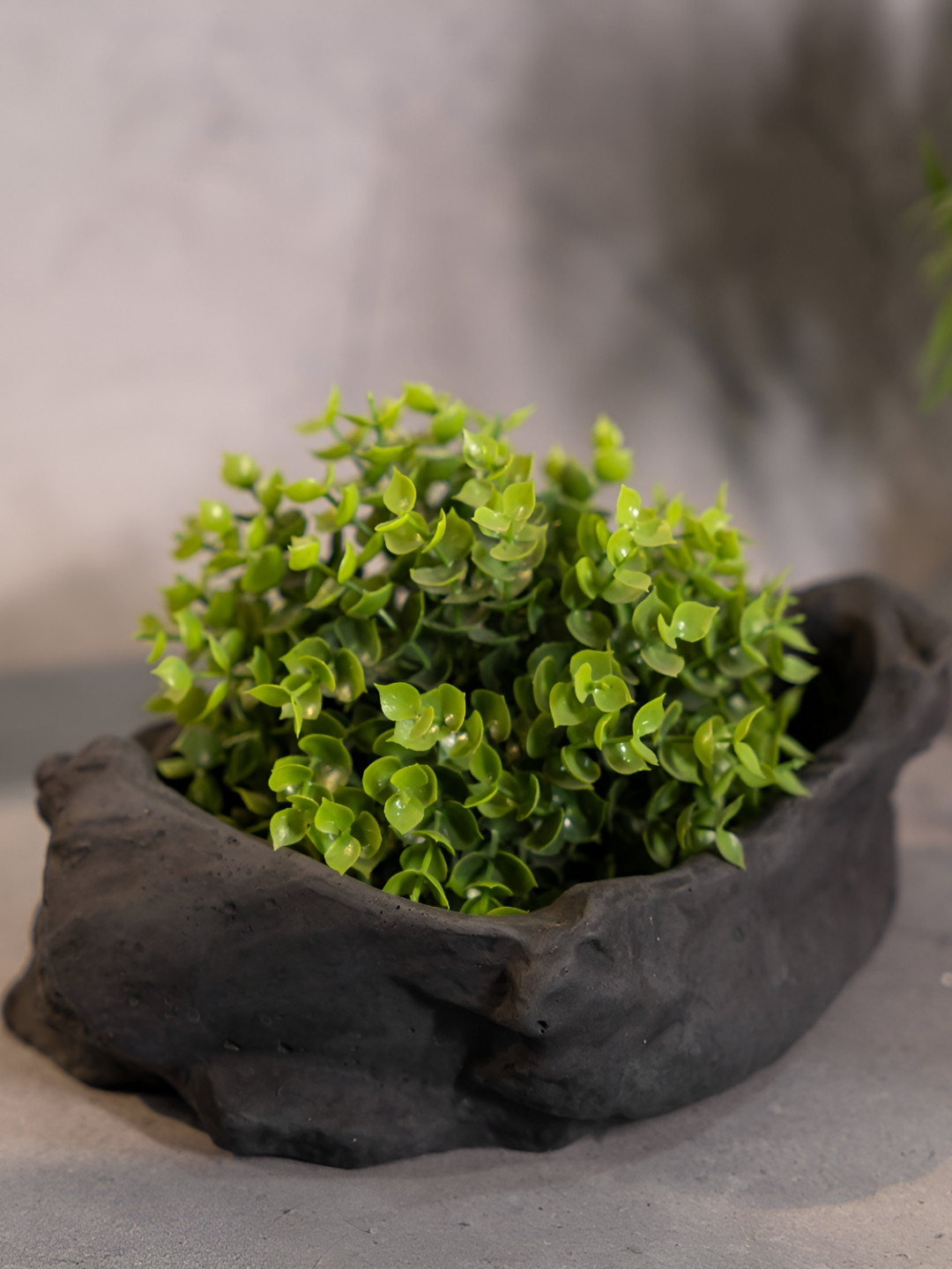 Greyt Grey Concrete Planter Stone Shaped