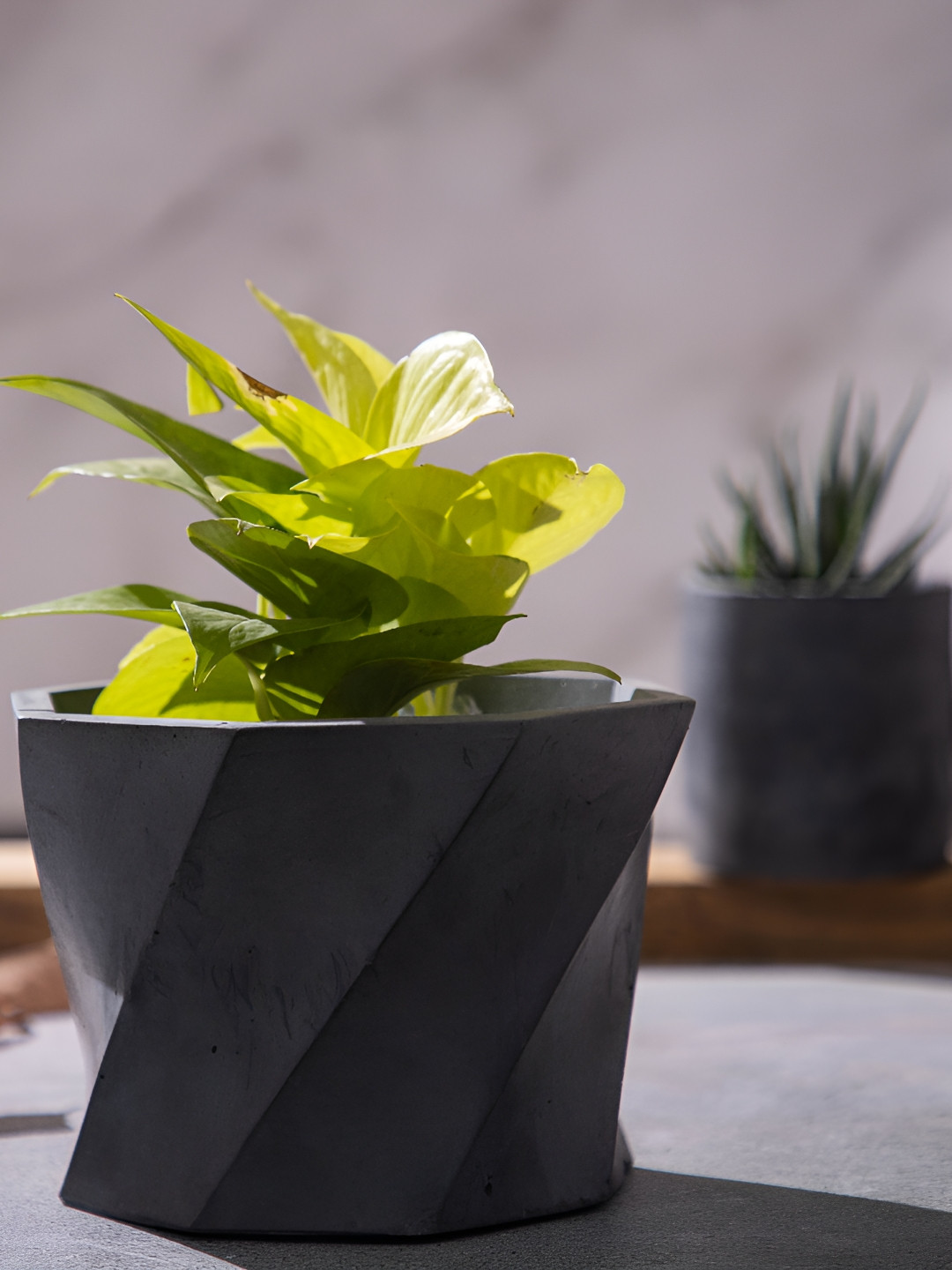 Greyt Grey Textured Octagonal Cement Planter