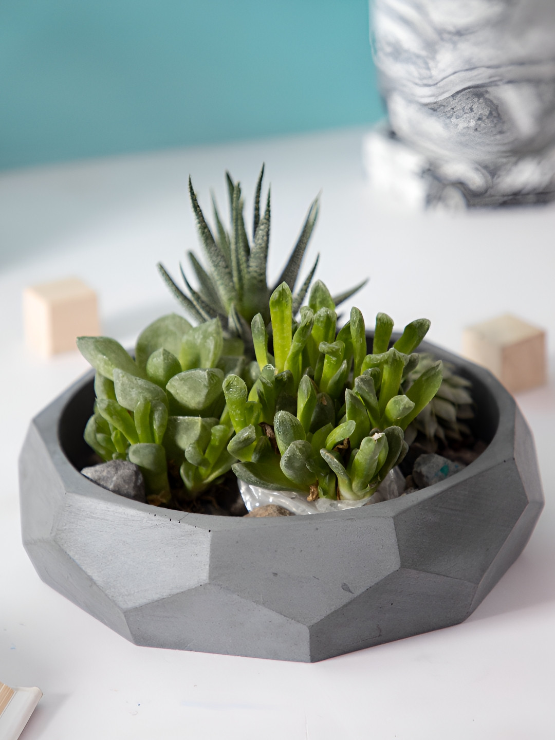 Greyt Nonagon Grey Textured Cement Planters